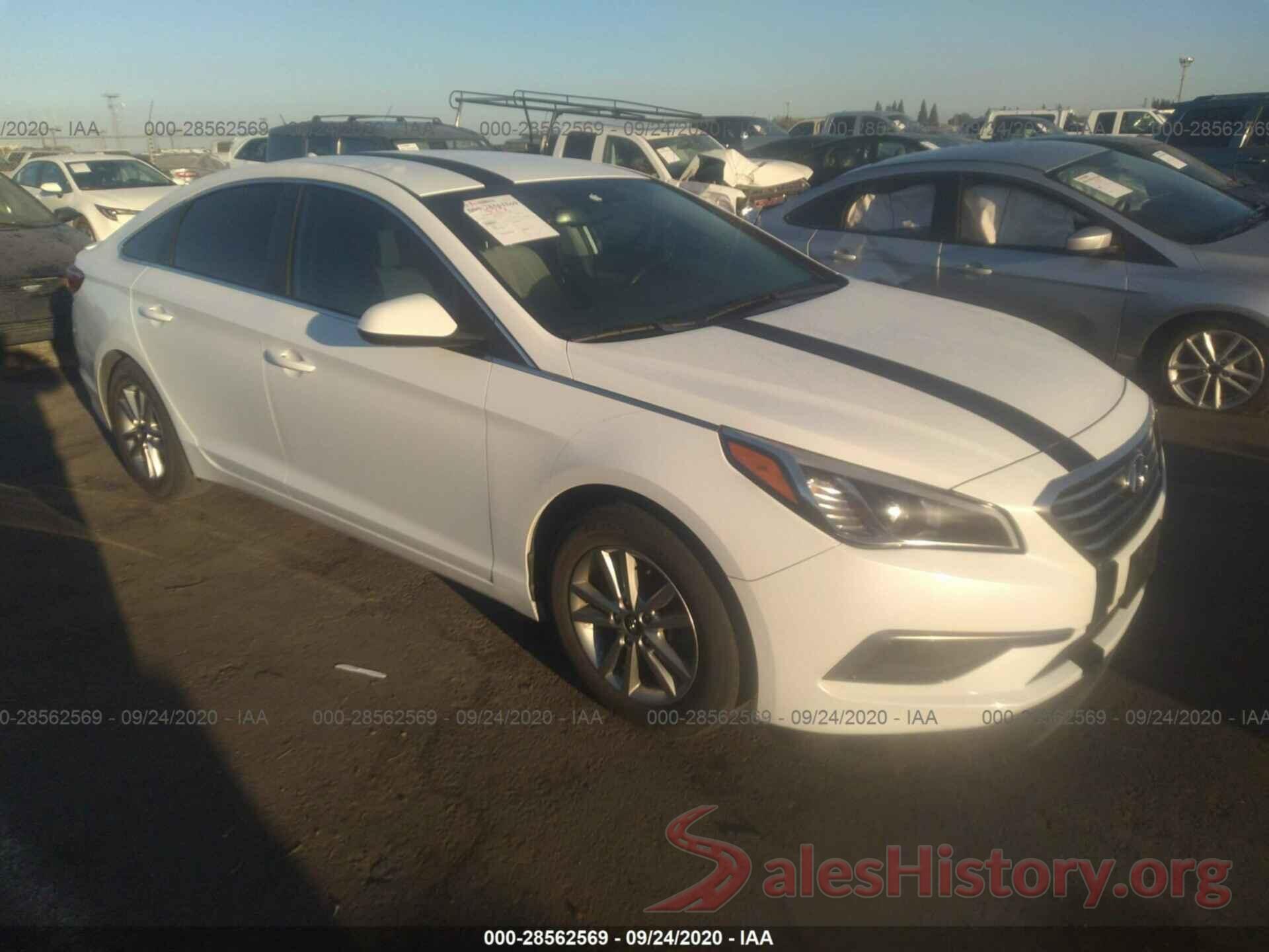 5NPE24AF1GH334982 2016 HYUNDAI SONATA