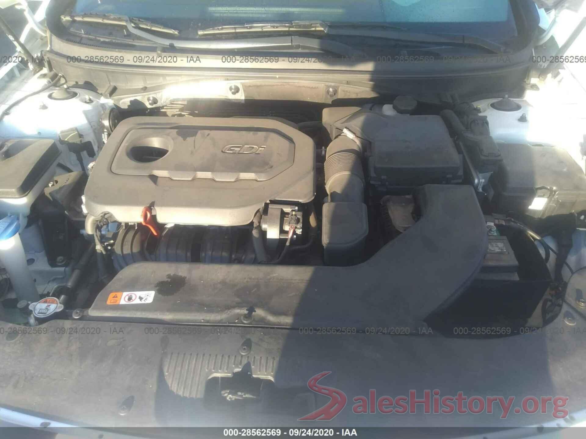 5NPE24AF1GH334982 2016 HYUNDAI SONATA