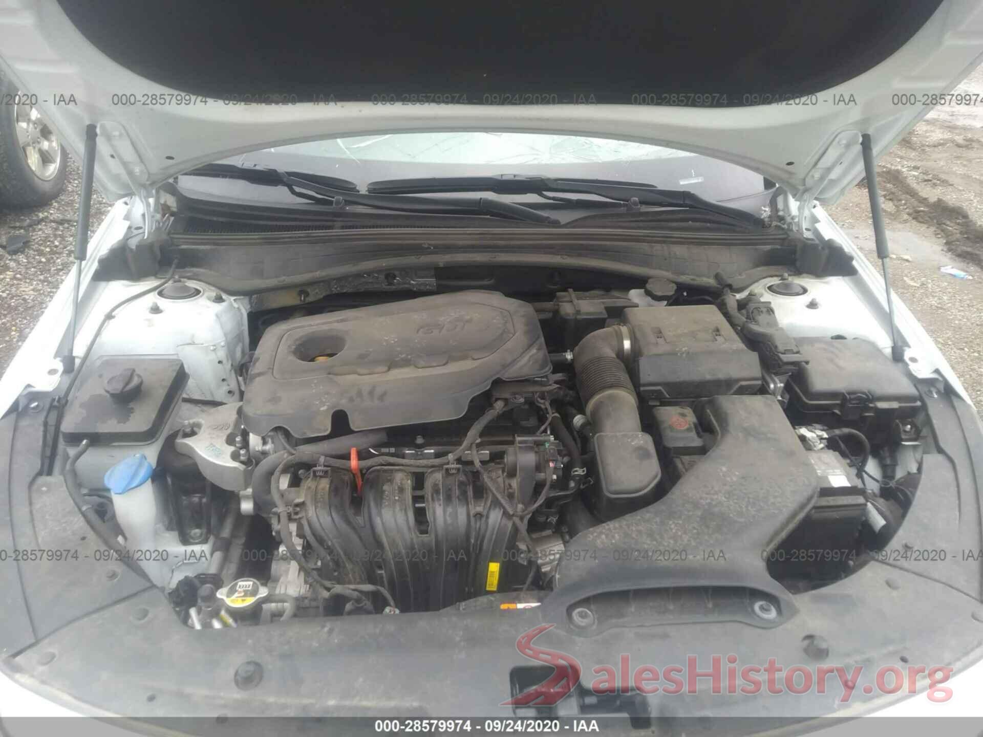 5XXGT4L3XKG308247 2019 KIA OPTIMA