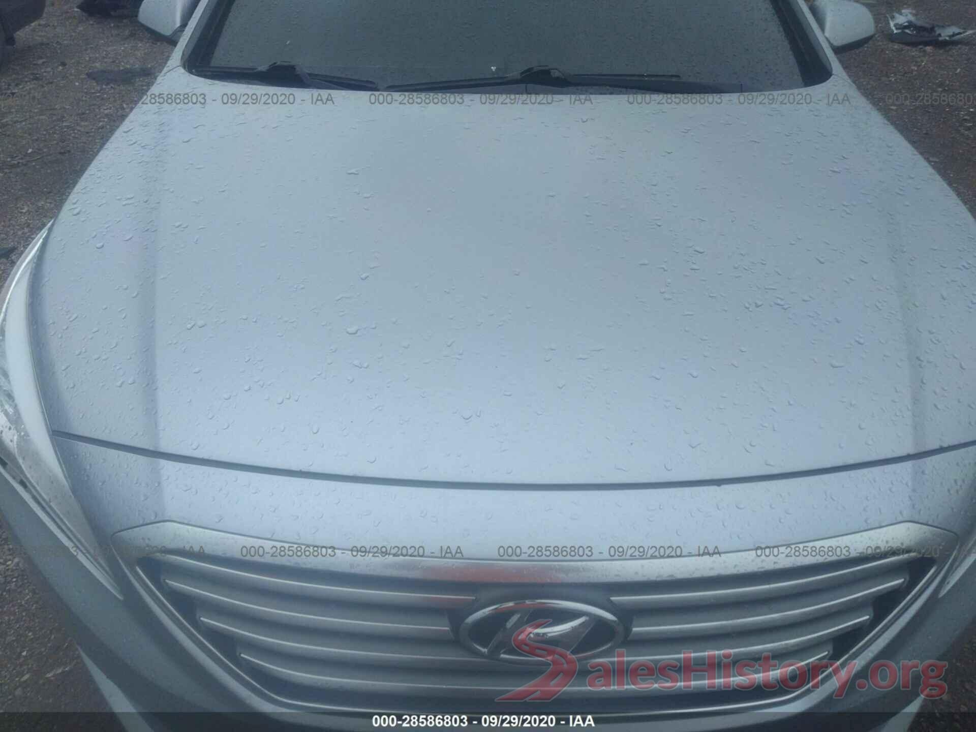 5NPE24AF1GH379520 2016 HYUNDAI SONATA