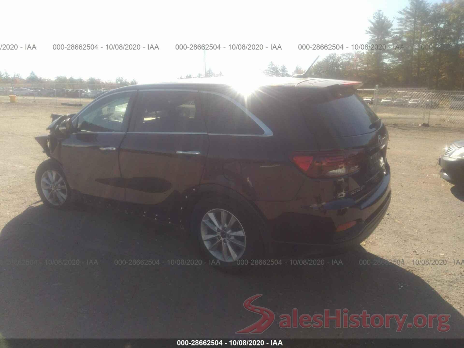 5XYPGDA54KG449464 2019 KIA SORENTO