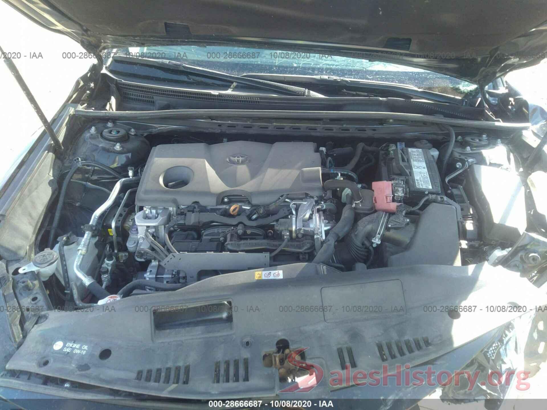 4T1B11HK4KU684916 2019 TOYOTA CAMRY