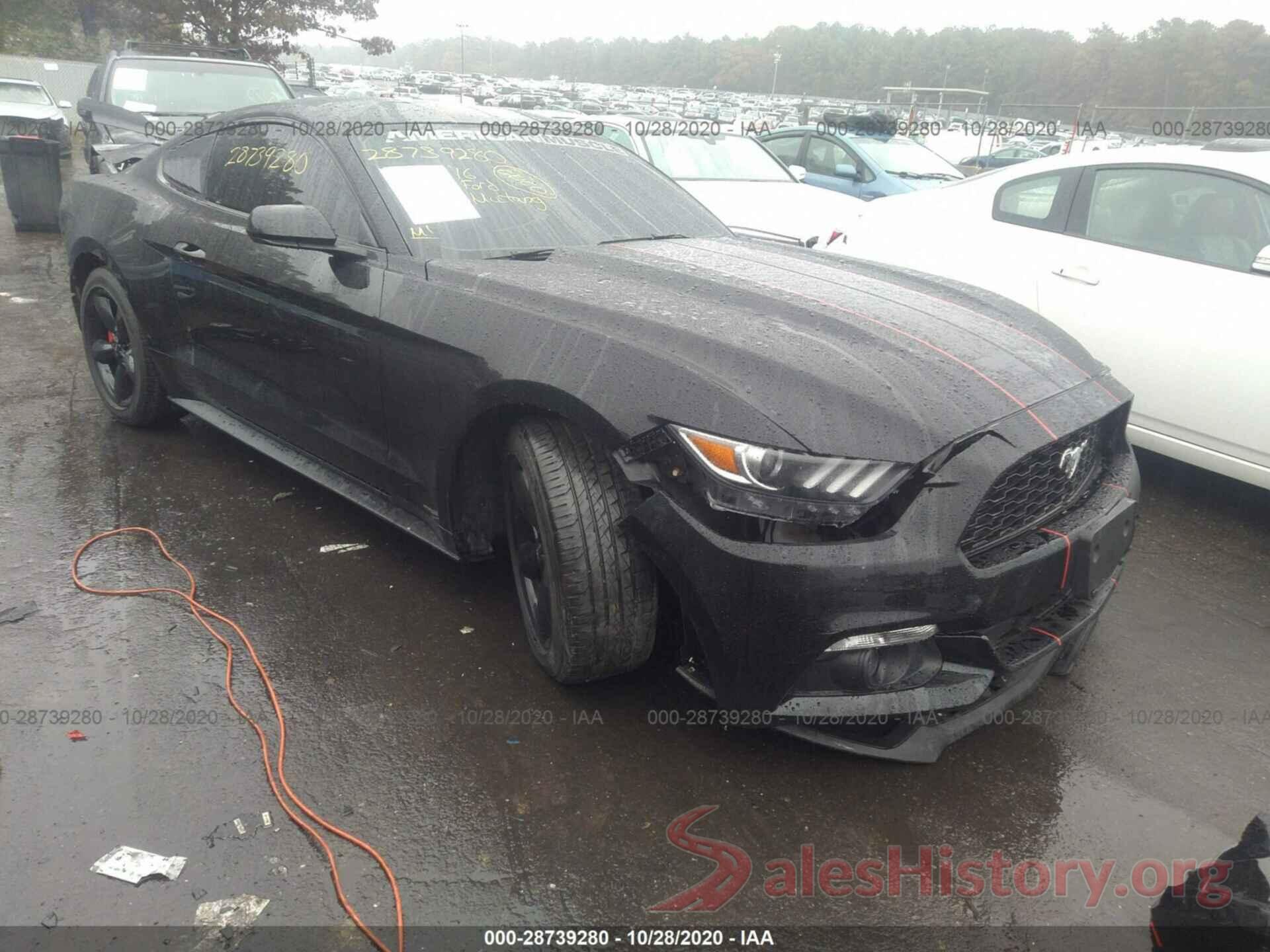 1FA6P8AM8G5331093 2016 FORD MUSTANG