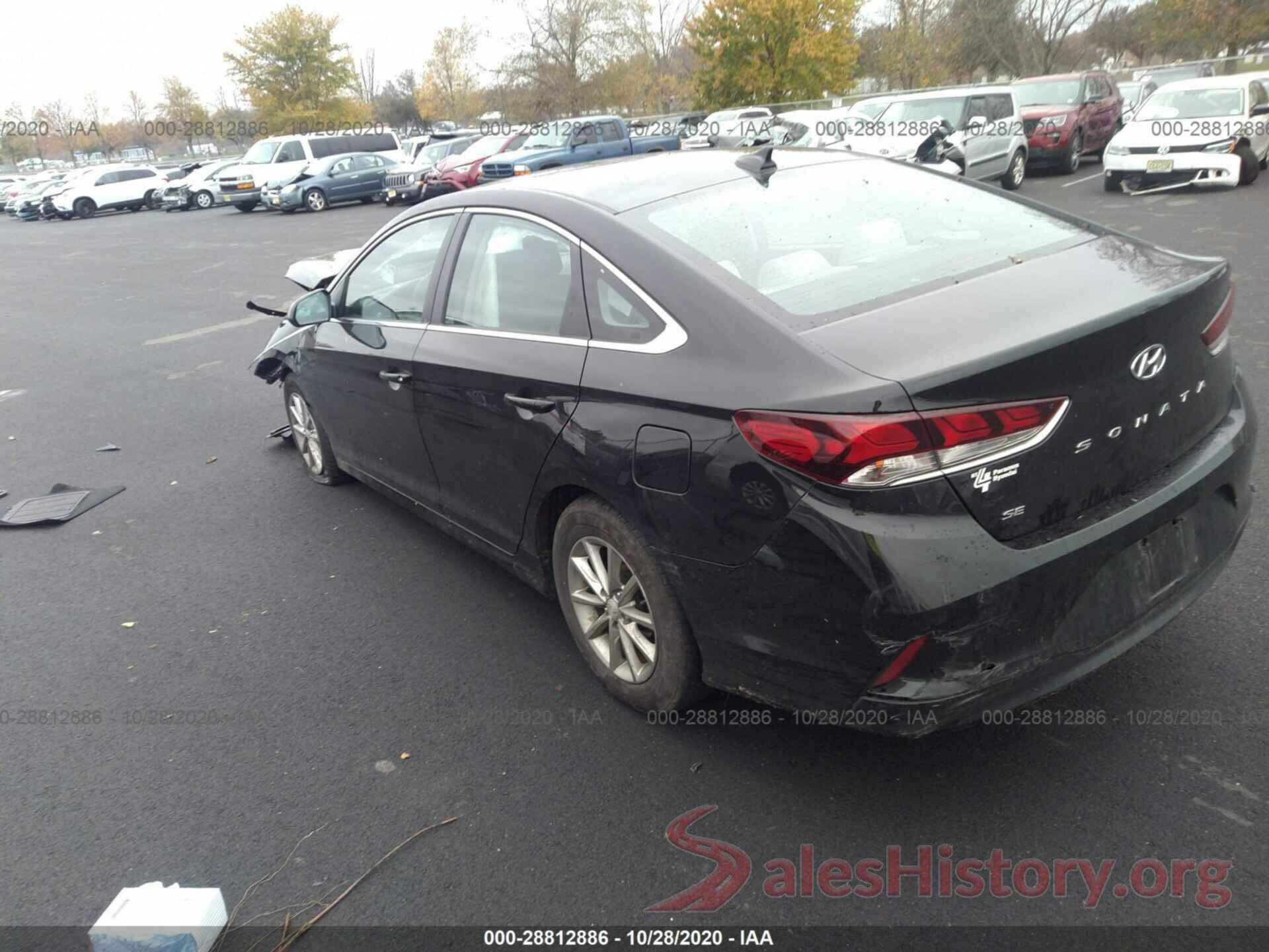 5NPE24AF1KH796807 2019 HYUNDAI SONATA