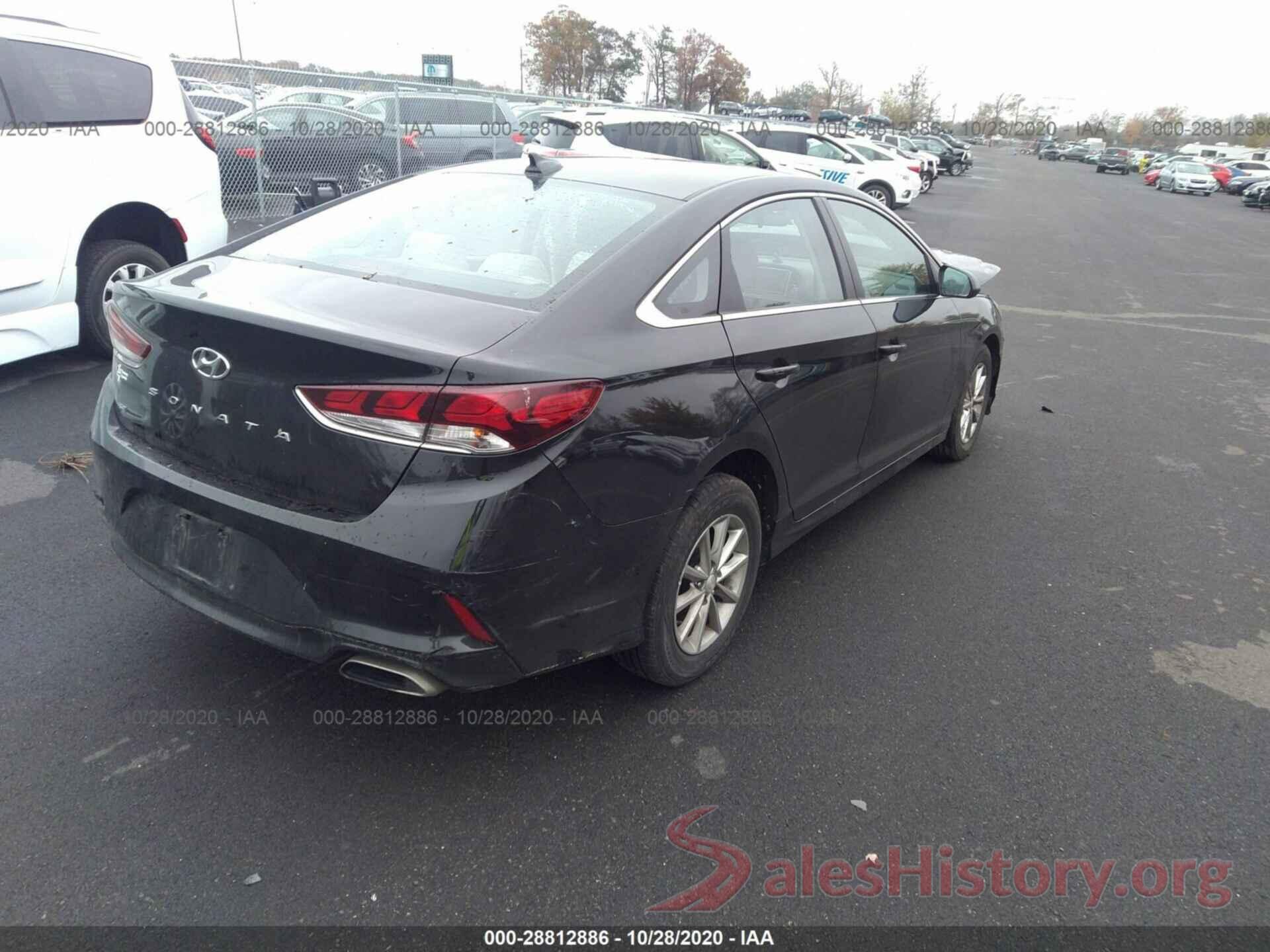 5NPE24AF1KH796807 2019 HYUNDAI SONATA