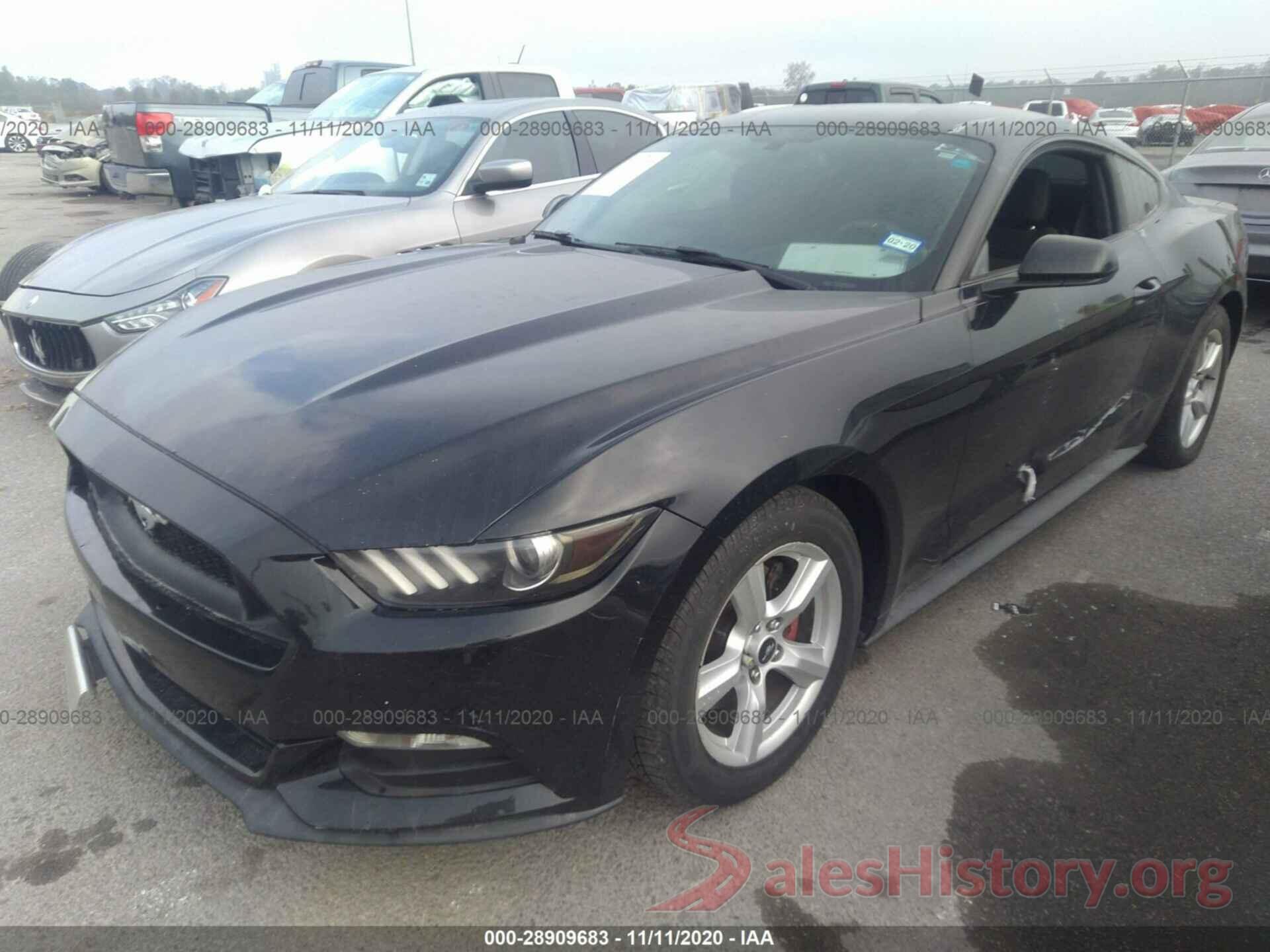 1FA6P8AM2H5256571 2017 FORD MUSTANG