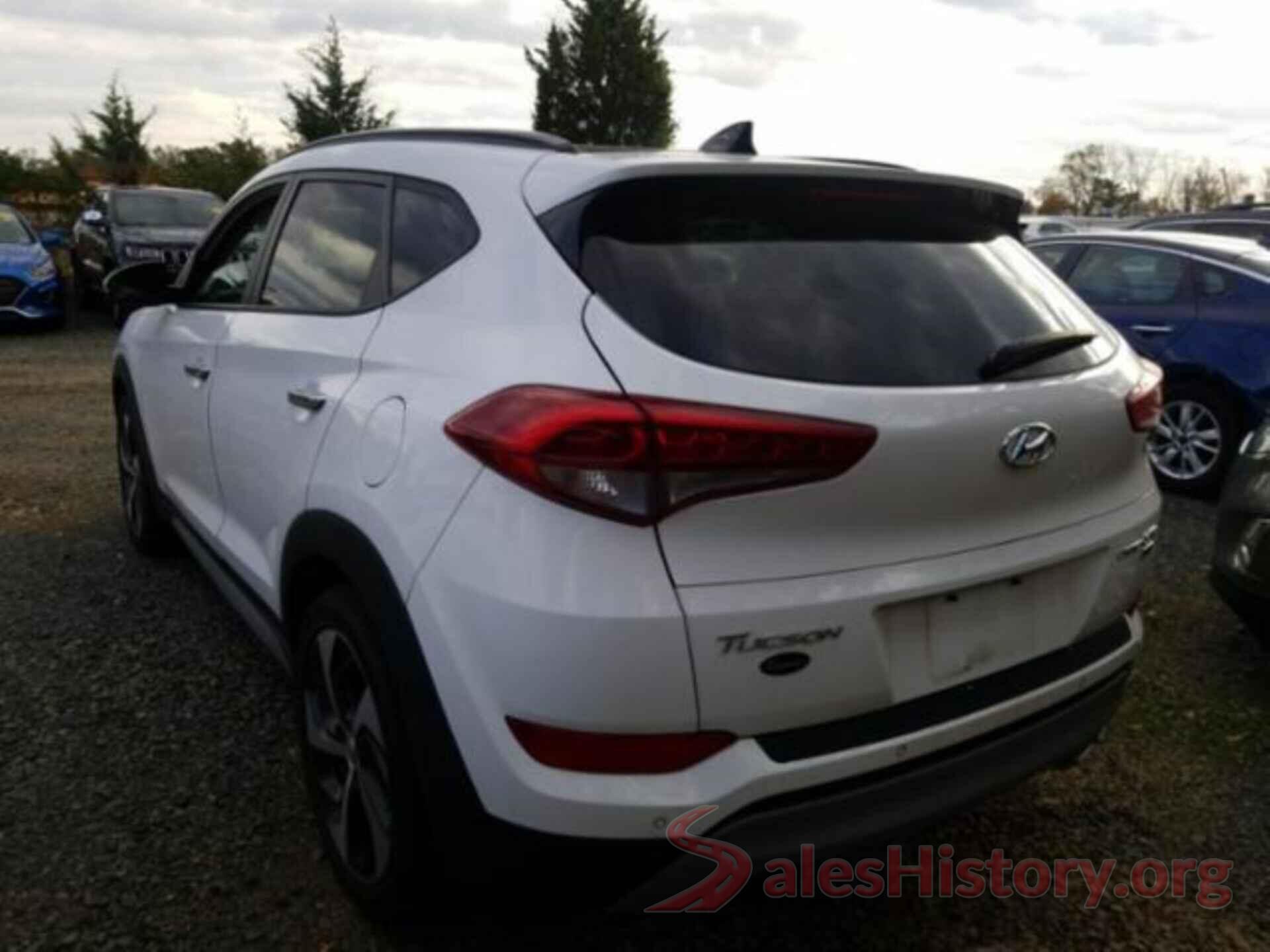 KM8J3CA21HU584566 2017 HYUNDAI TUCSON