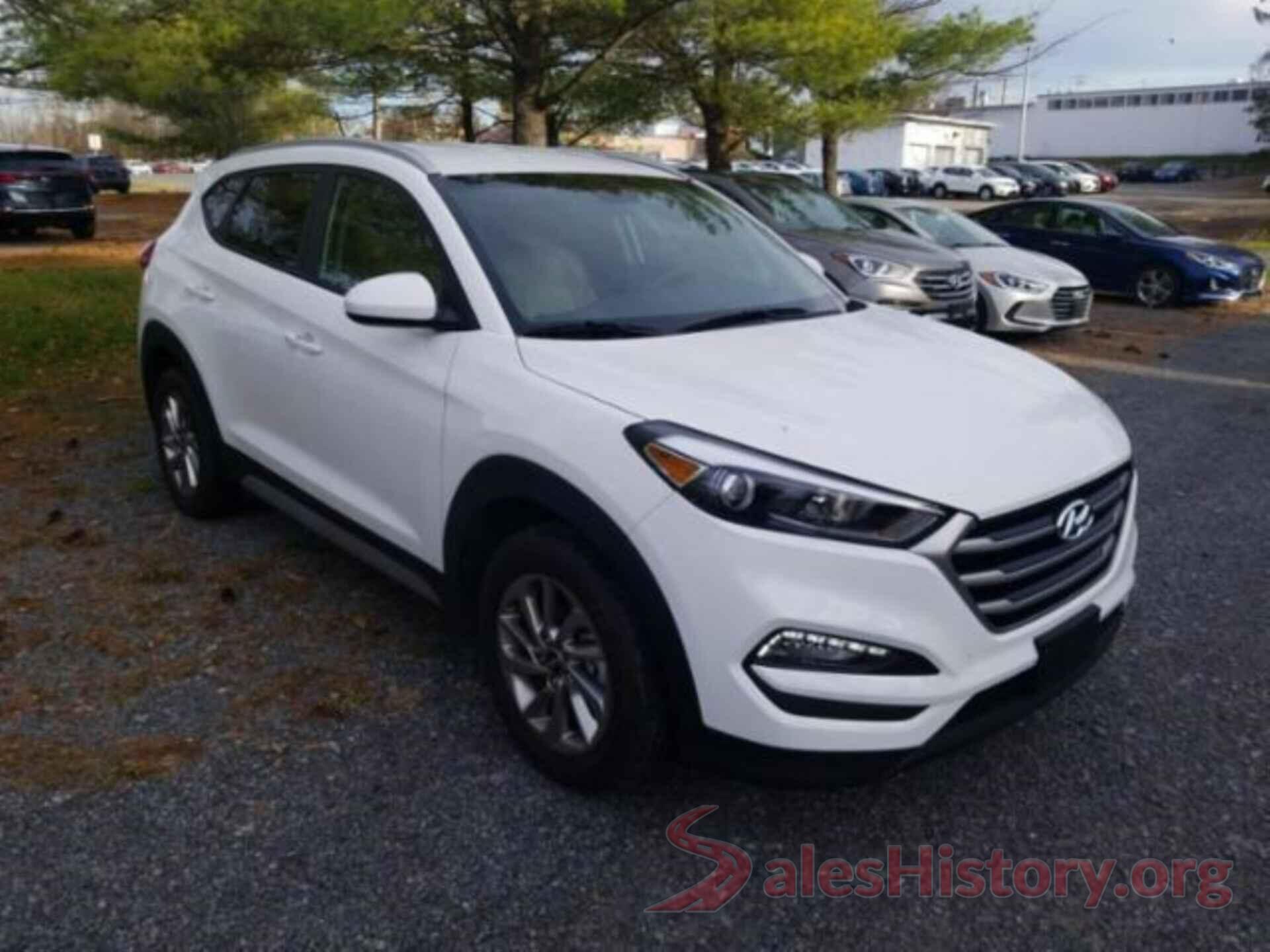 KM8J3CA42HU446486 2017 HYUNDAI TUCSON