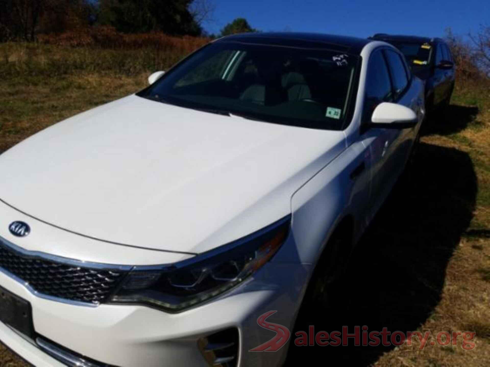 5XXGW4L27HG138307 2017 KIA OPTIMA