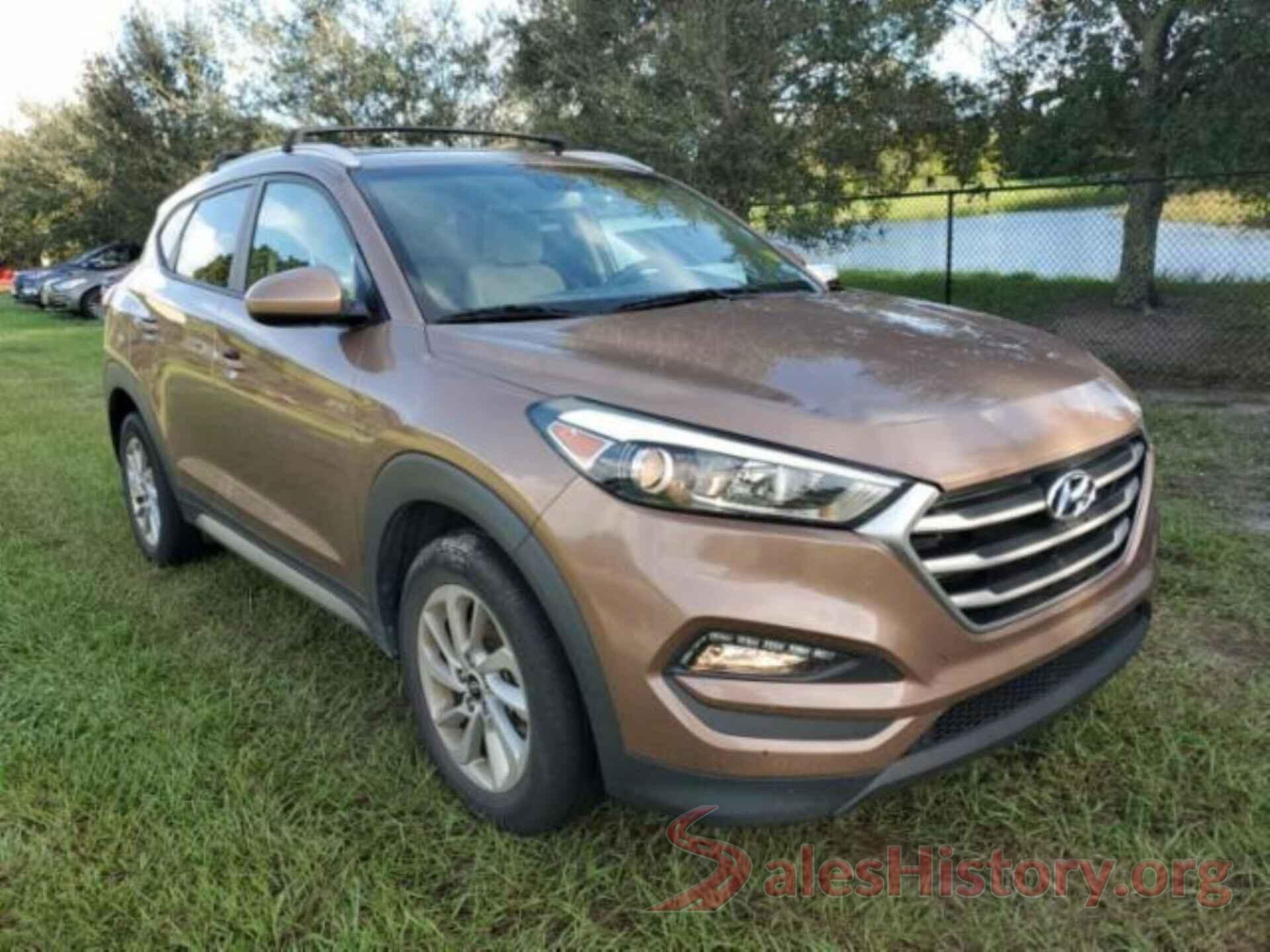 KM8J33A41HU313170 2017 HYUNDAI TUCSON