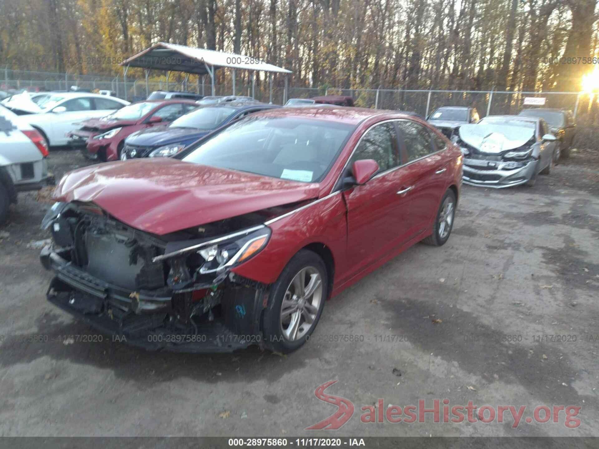 5NPE34AF9KH741325 2019 HYUNDAI SONATA