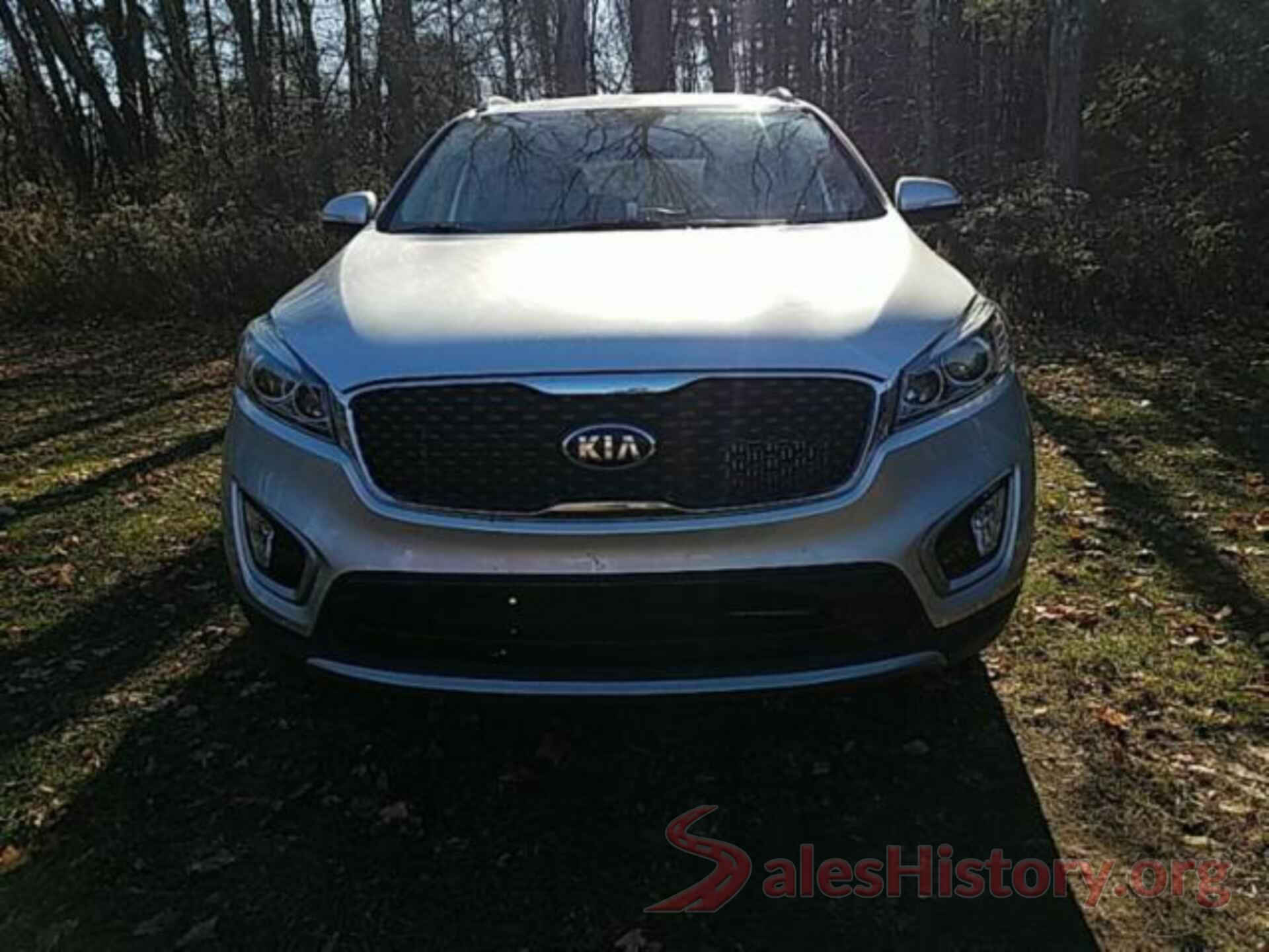 5XYPH4A12HG274862 2017 KIA SORENTO