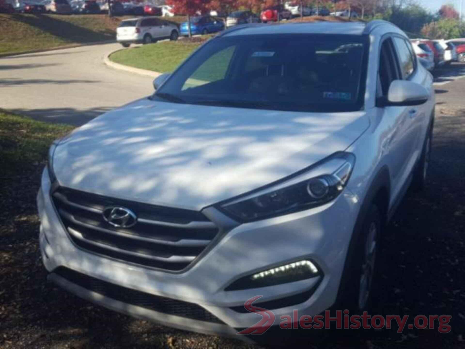 KM8J3CA20HU319606 2017 HYUNDAI TUCSON