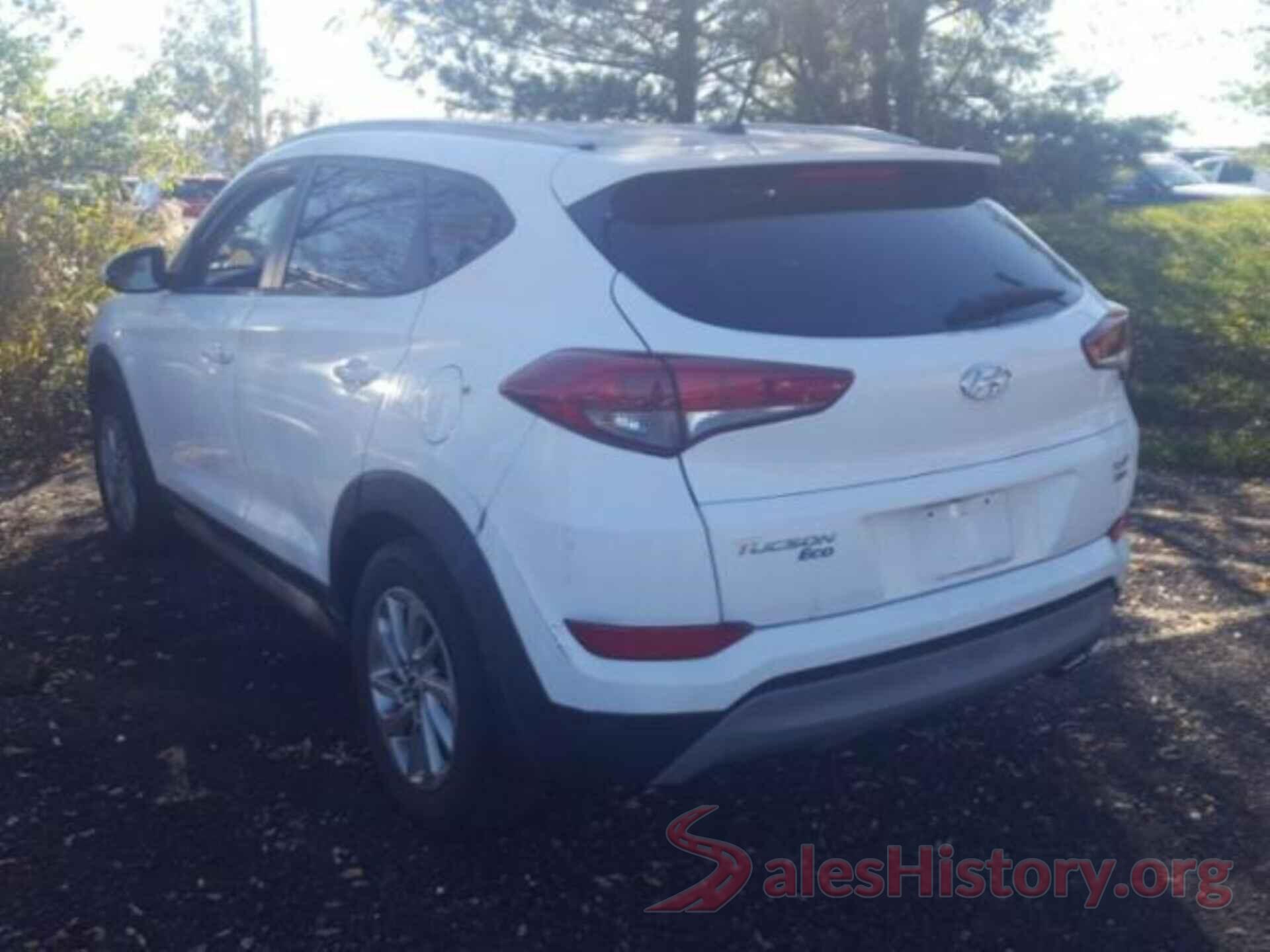 KM8J3CA20HU319606 2017 HYUNDAI TUCSON