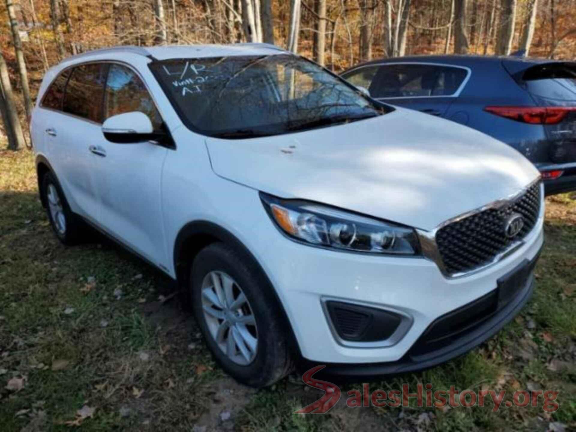 5XYPGDA31HG263162 2017 KIA SORENTO