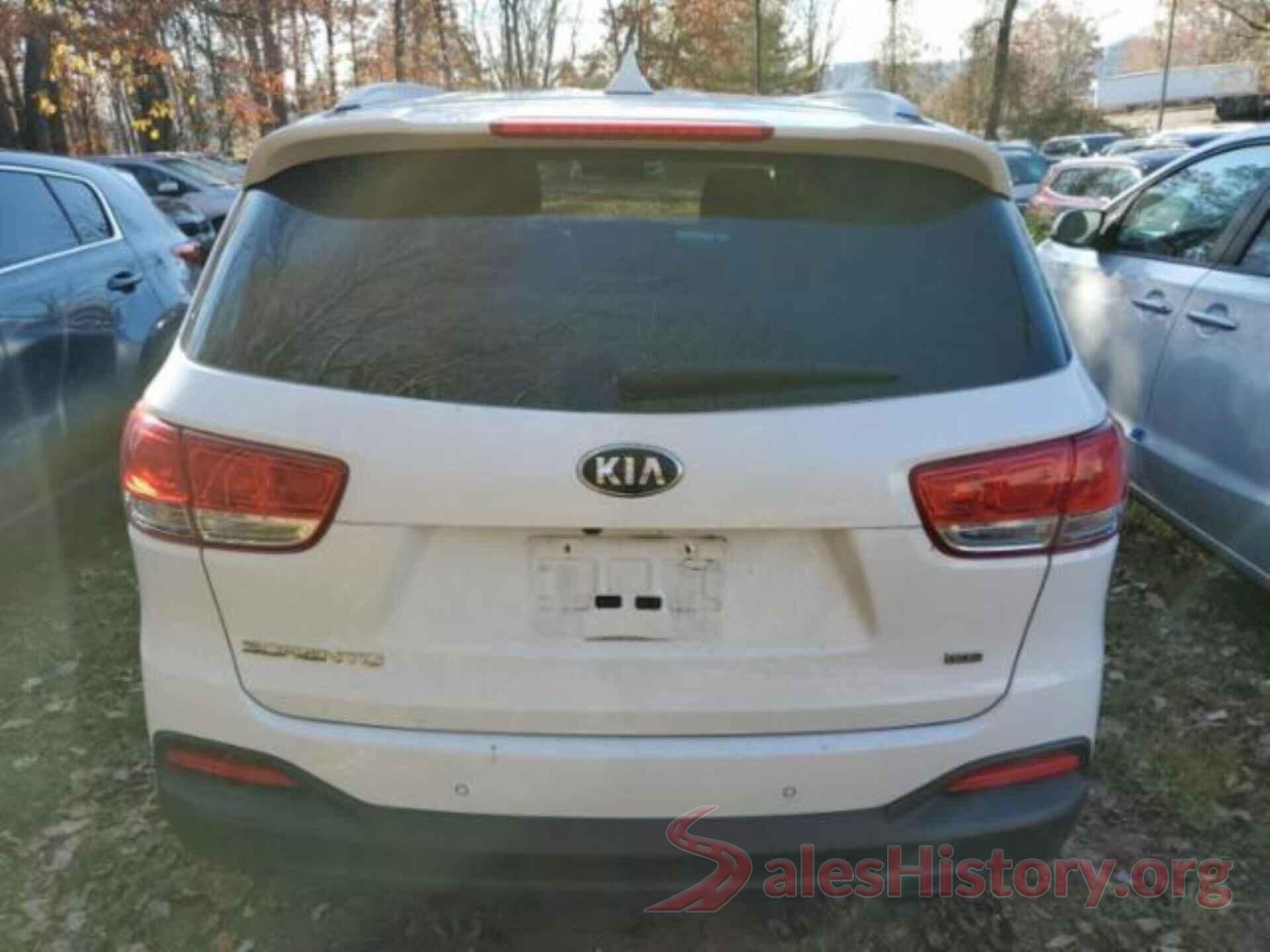 5XYPGDA31HG263162 2017 KIA SORENTO