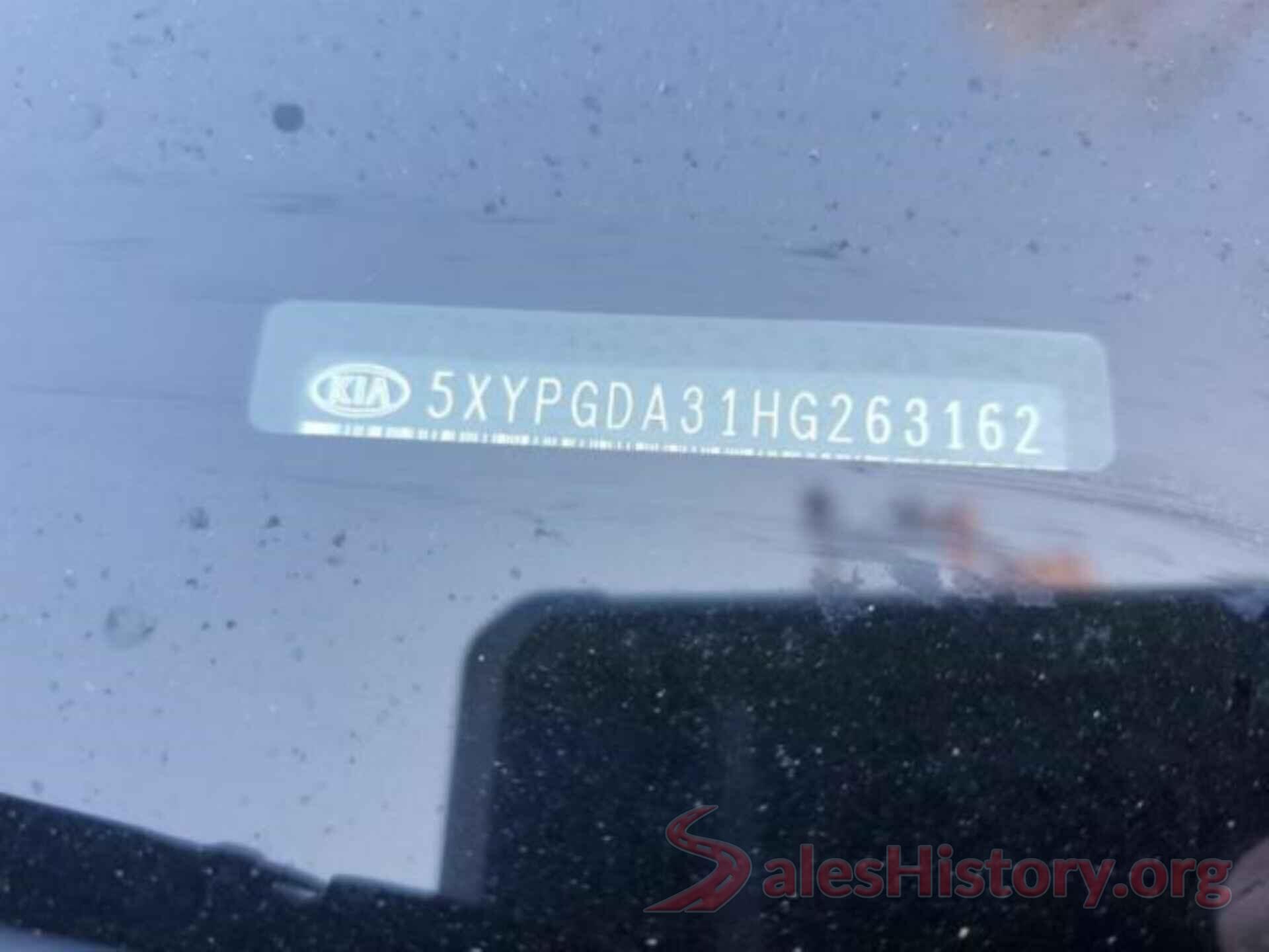 5XYPGDA31HG263162 2017 KIA SORENTO