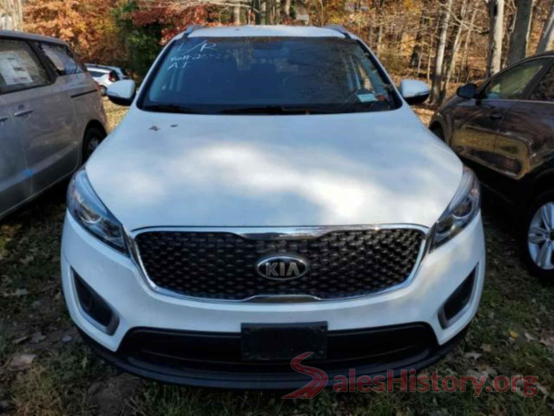 5XYPGDA31HG263162 2017 KIA SORENTO