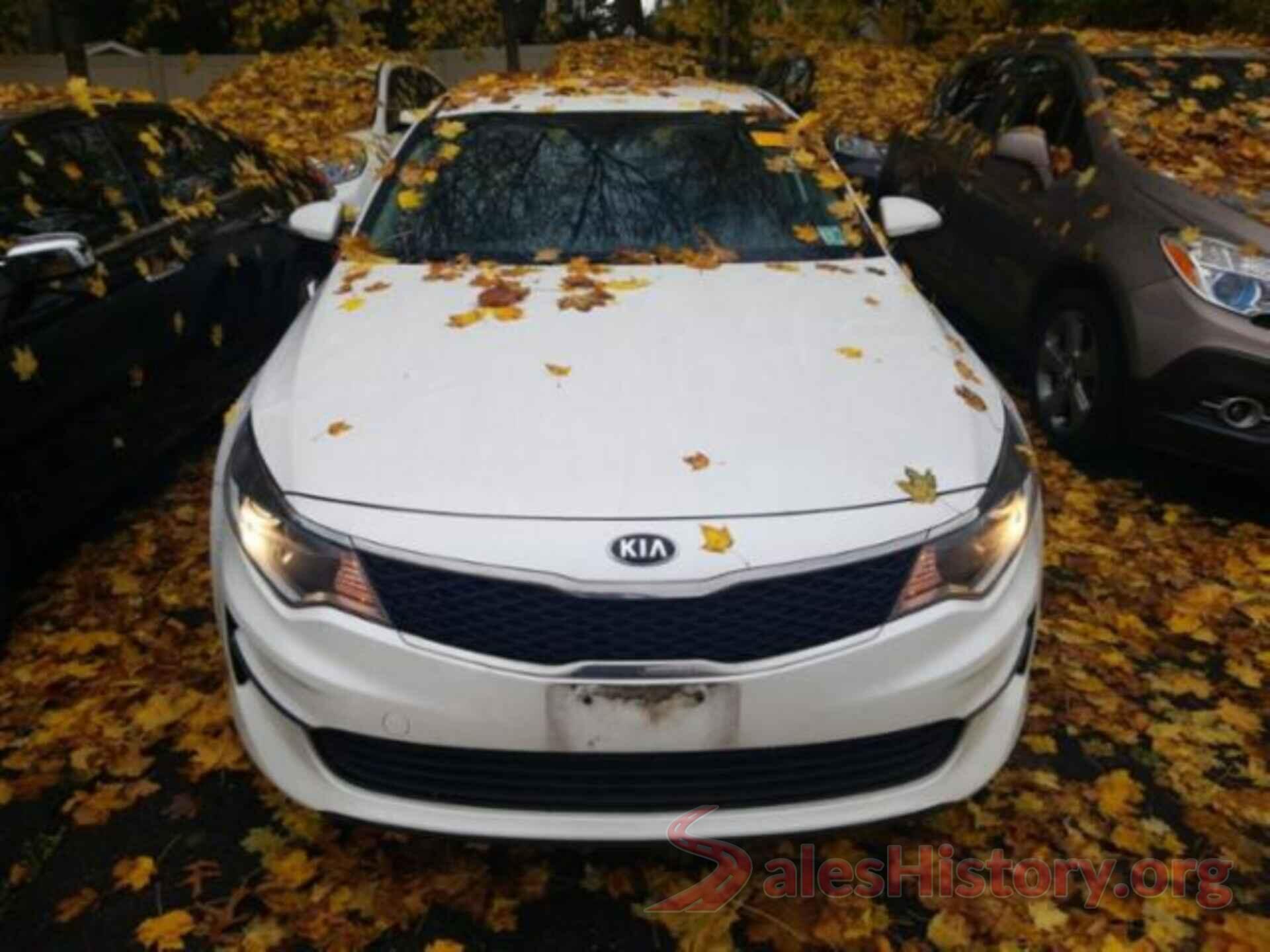 KNAGT4L36G5090705 2016 KIA OPTIMA