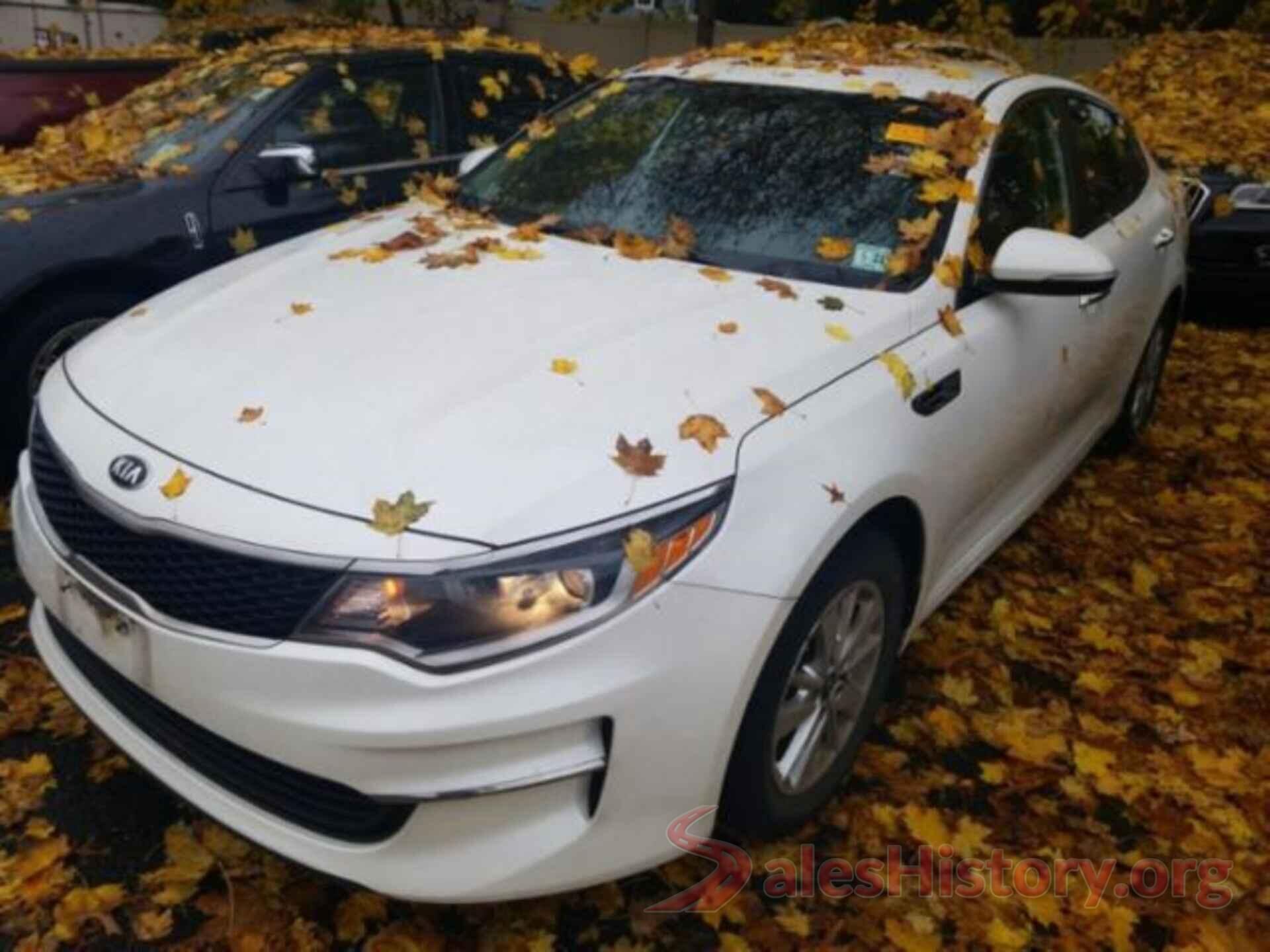 KNAGT4L36G5090705 2016 KIA OPTIMA