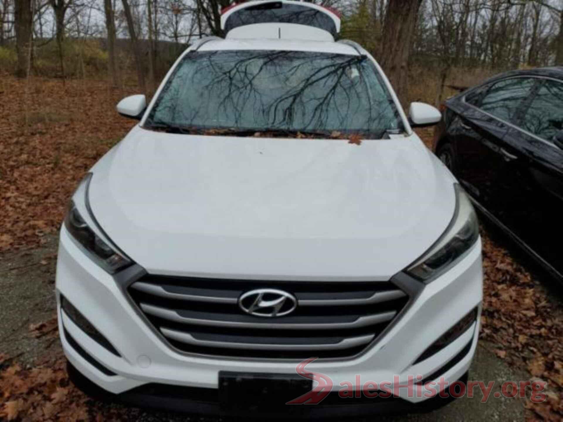 KM8J3CA4XHU552491 2017 HYUNDAI TUCSON