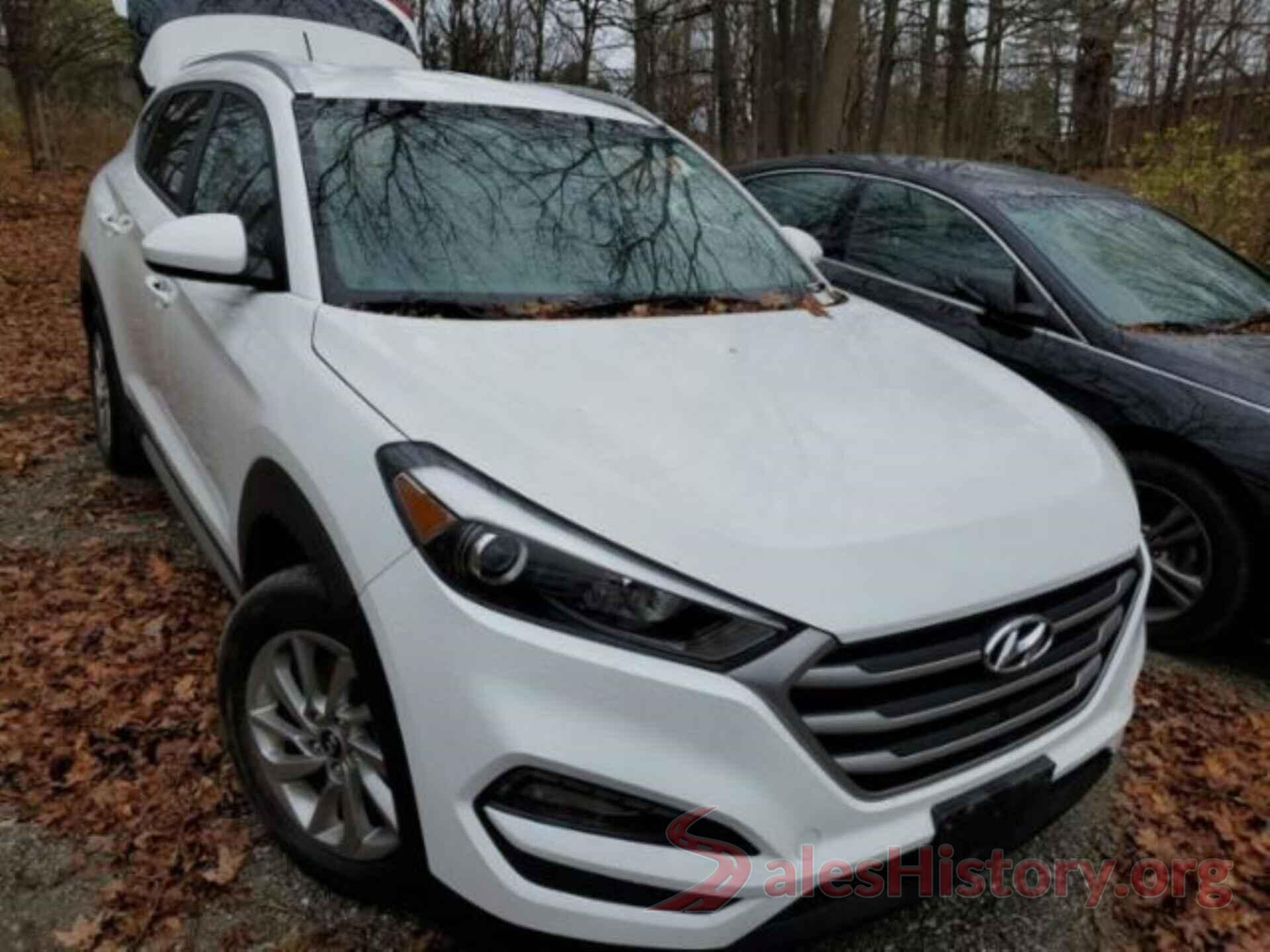 KM8J3CA4XHU552491 2017 HYUNDAI TUCSON