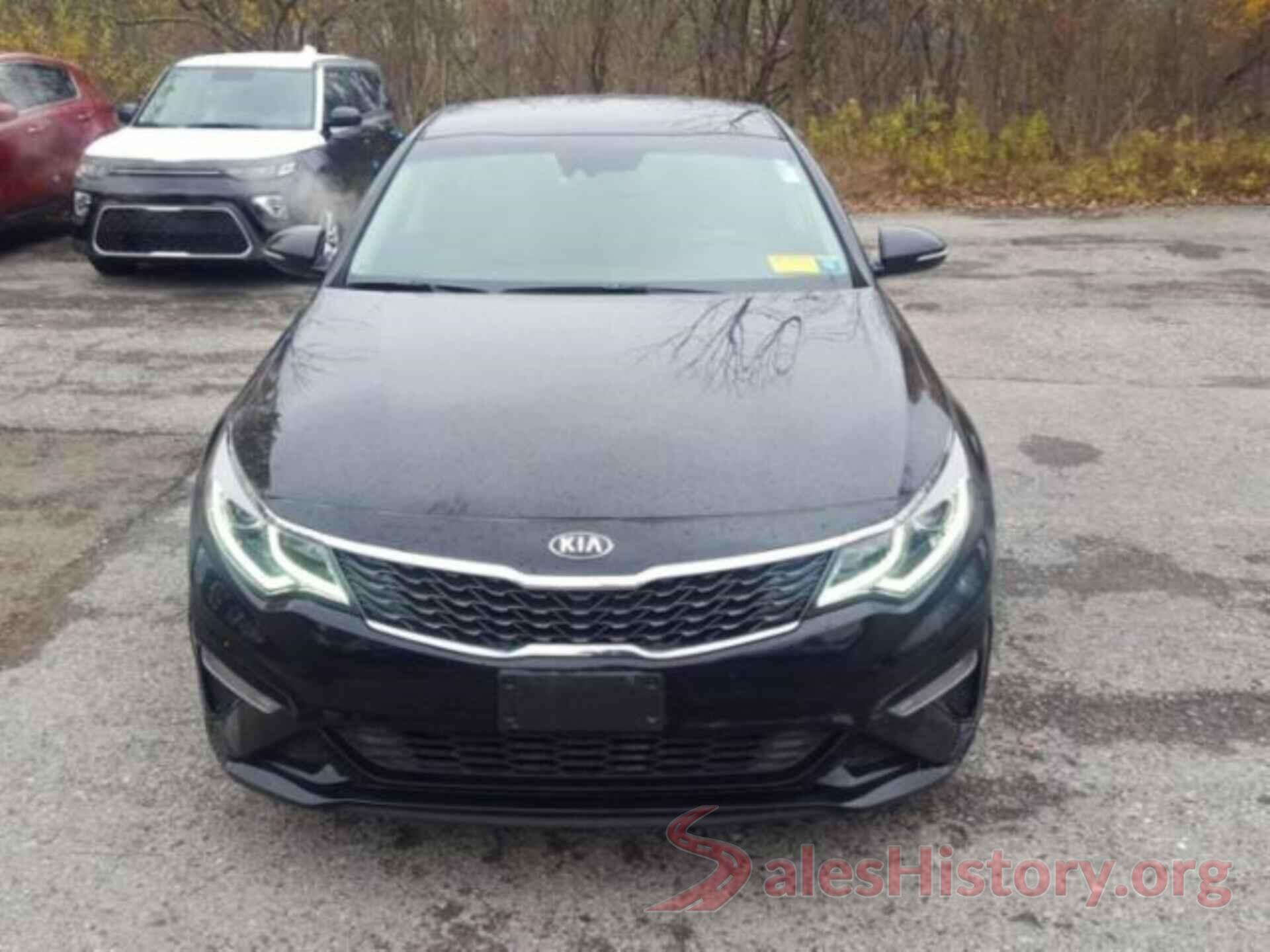 5XXGT4L31KG305446 2019 KIA OPTIMA