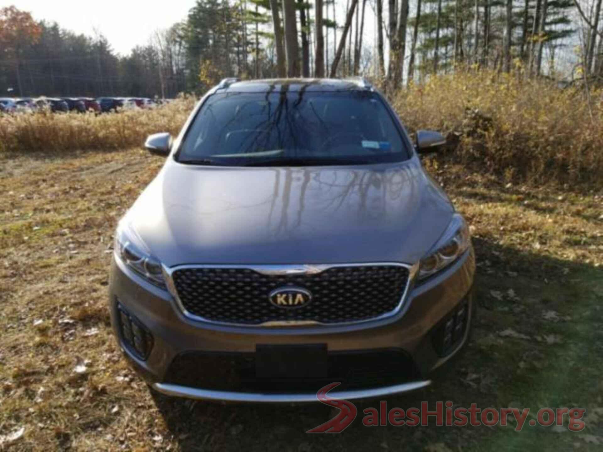 5XYPKDA56JG388289 2018 KIA SORENTO