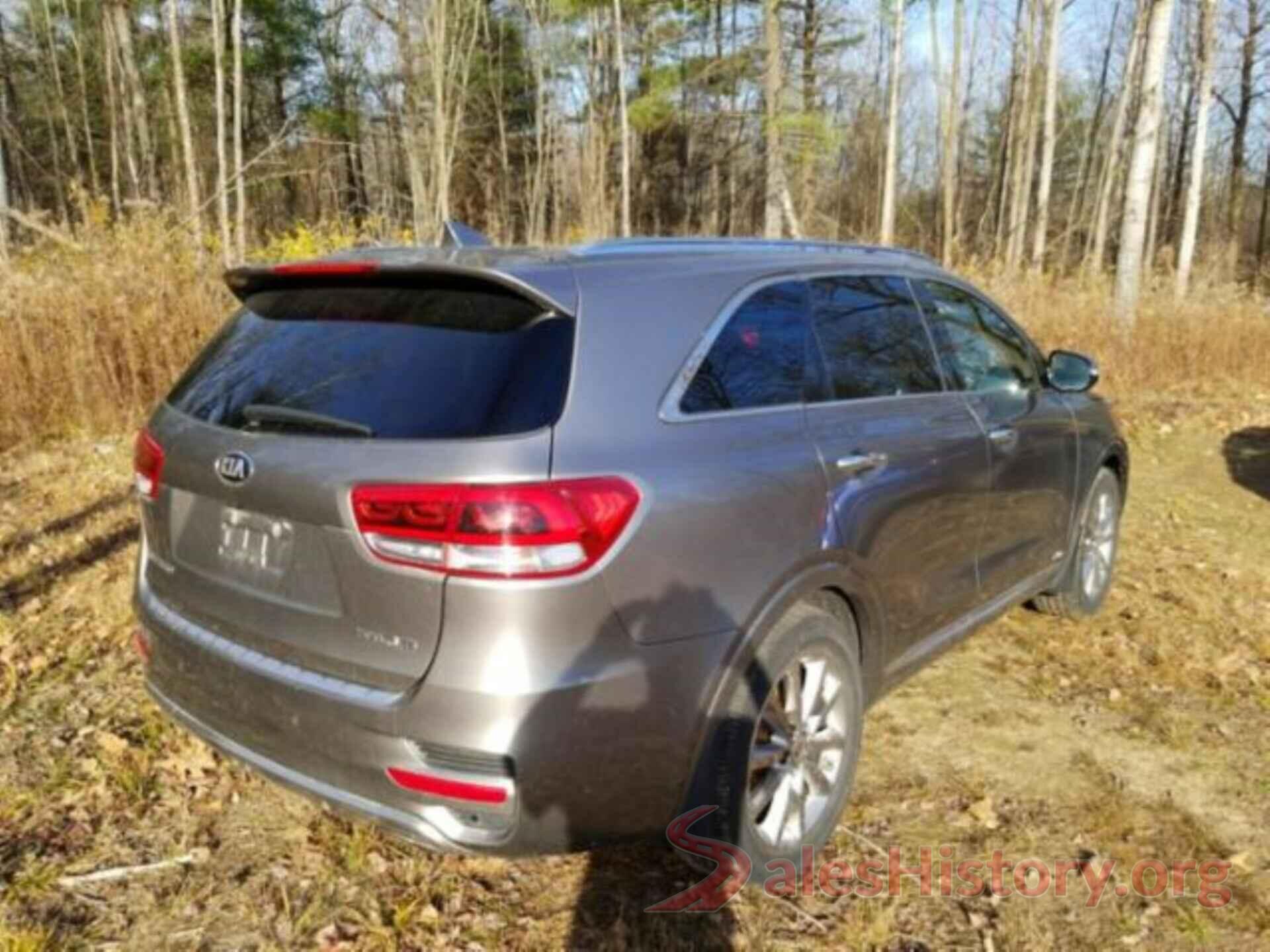 5XYPKDA56JG388289 2018 KIA SORENTO