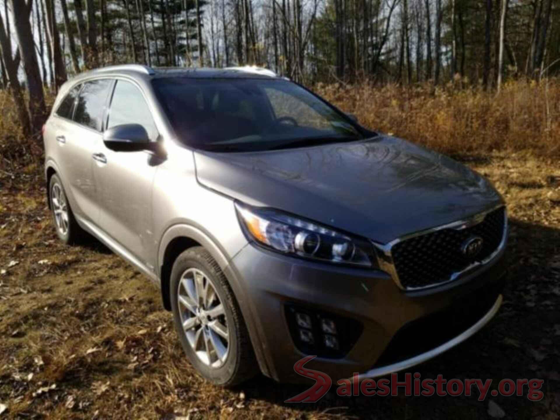 5XYPKDA56JG388289 2018 KIA SORENTO