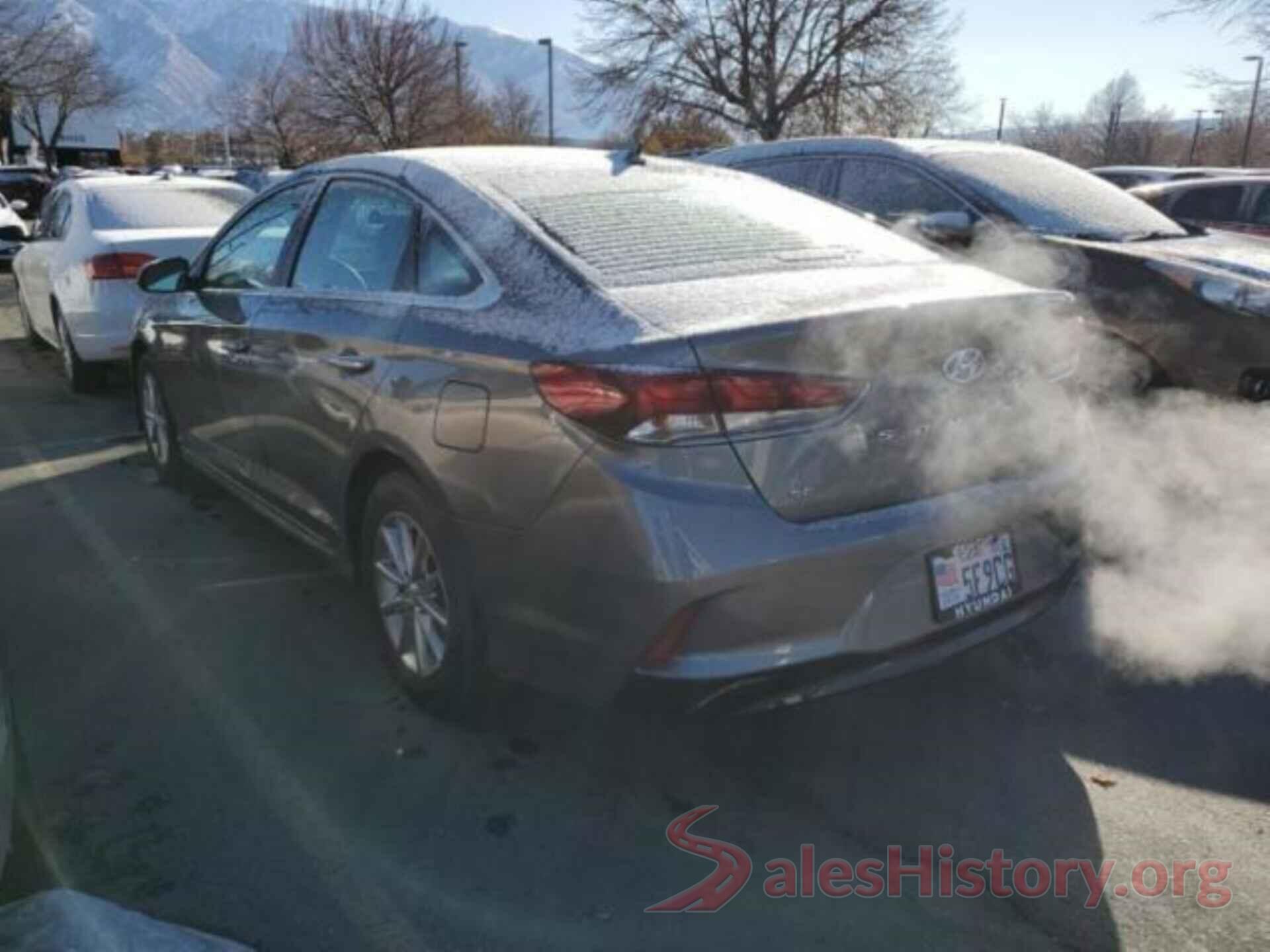 5NPE24AF1KH743296 2019 HYUNDAI SONATA