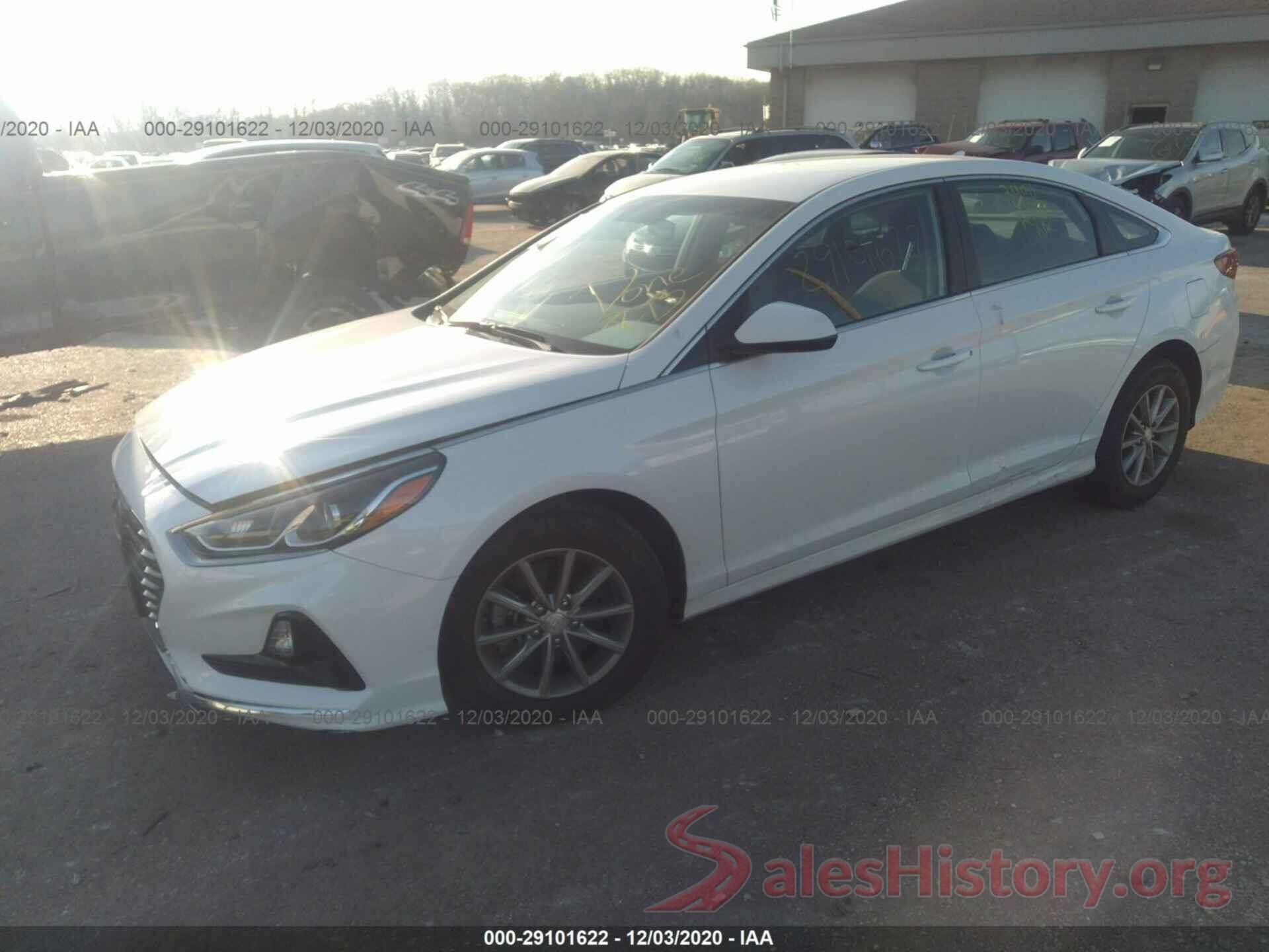 5NPE24AF0KH752426 2019 HYUNDAI SONATA