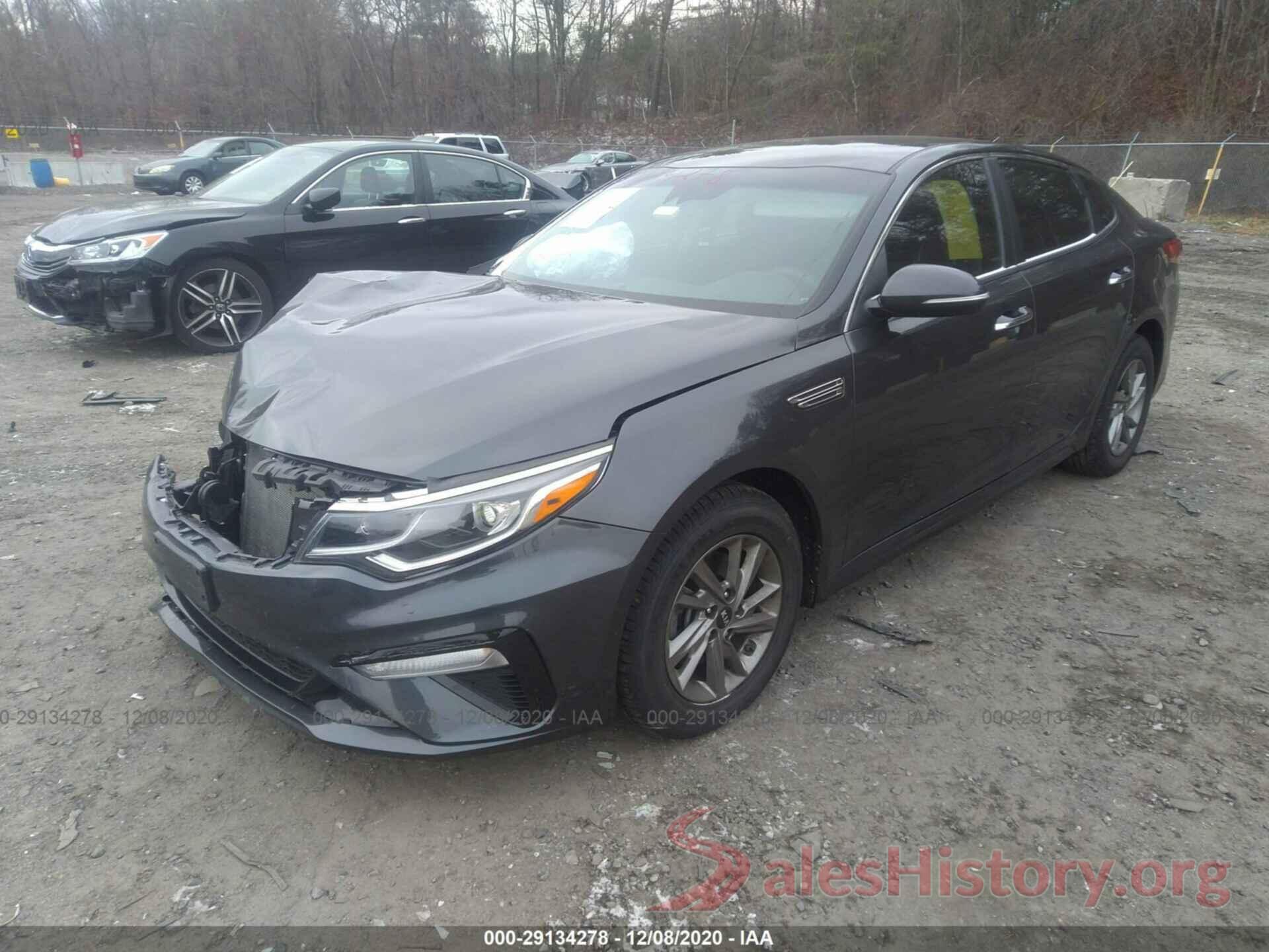 5XXGT4L35KG303392 2019 KIA OPTIMA