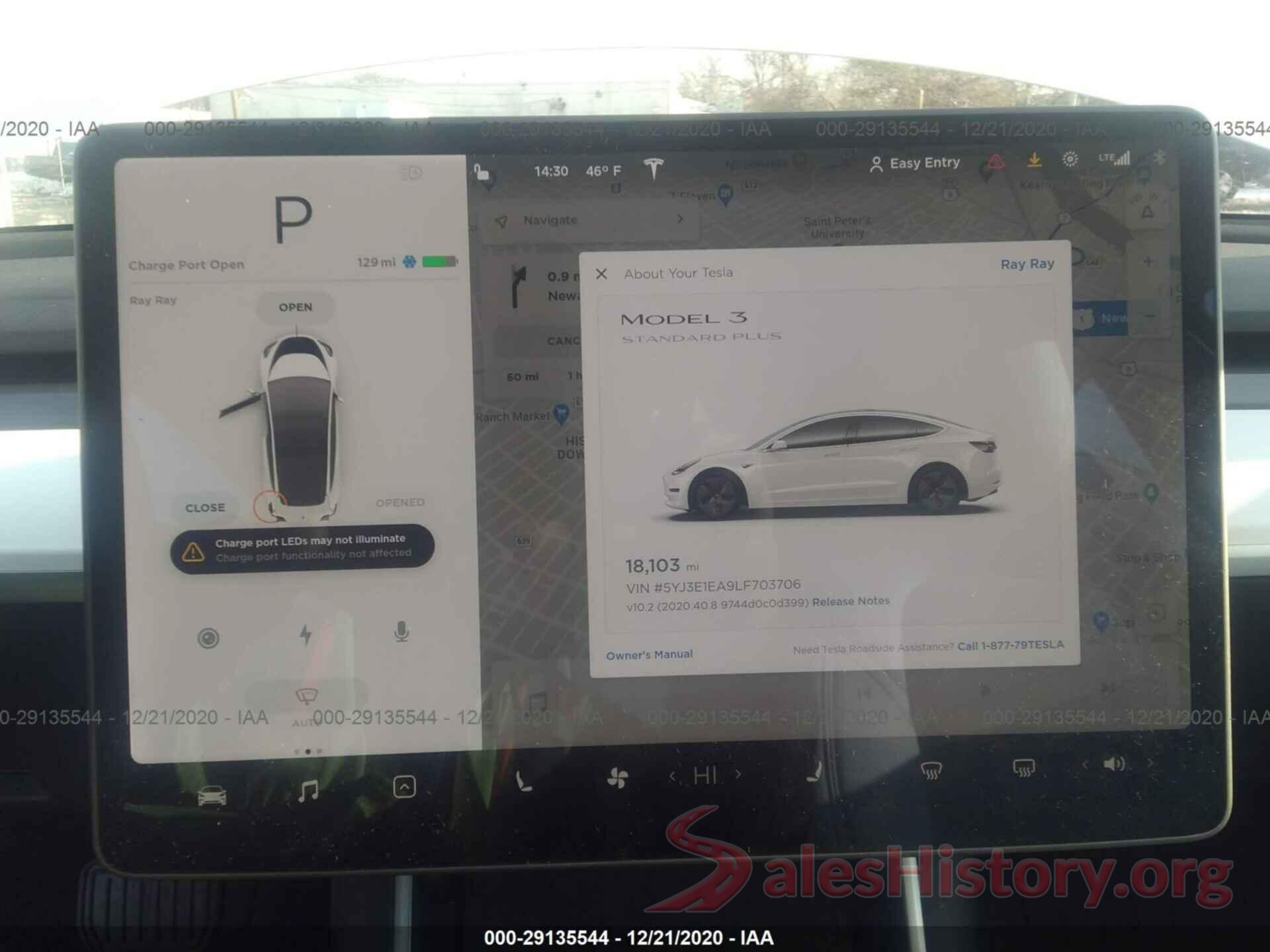 5YJ3E1EA9LF703706 2020 TESLA MODEL 3