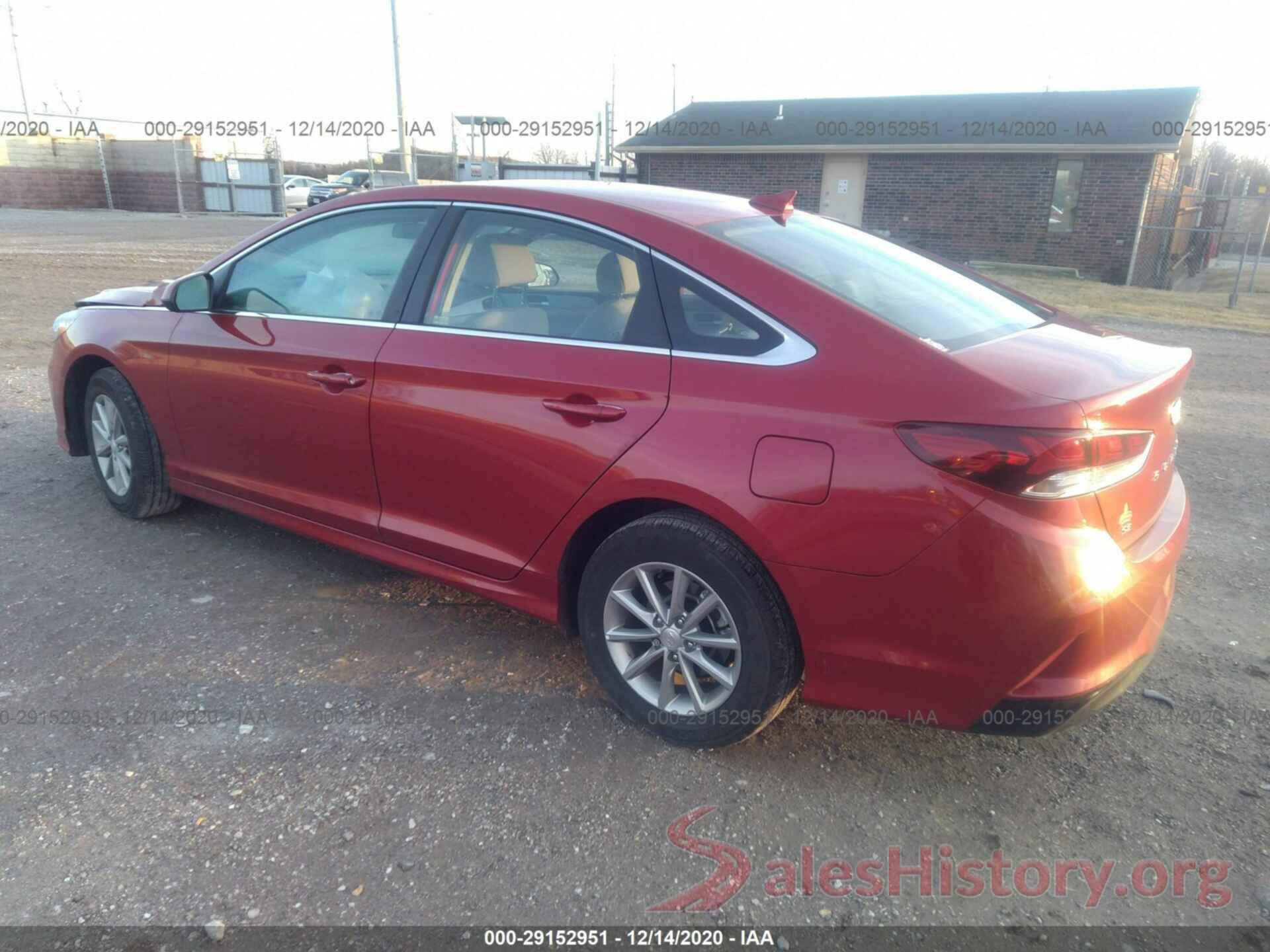 5NPE24AF5KH819134 2019 HYUNDAI SONATA