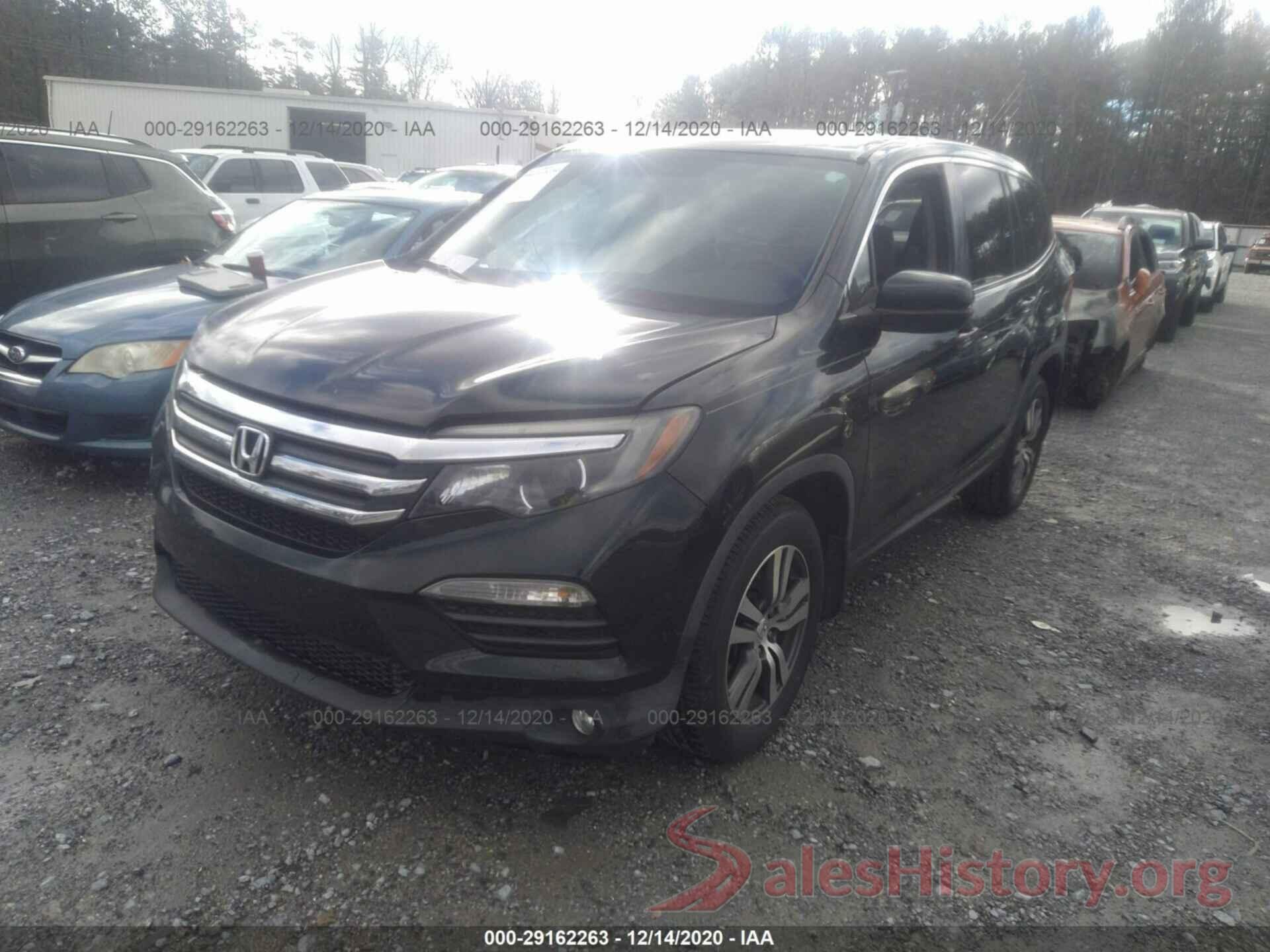 5FNYF5H31GB013865 2016 HONDA PILOT