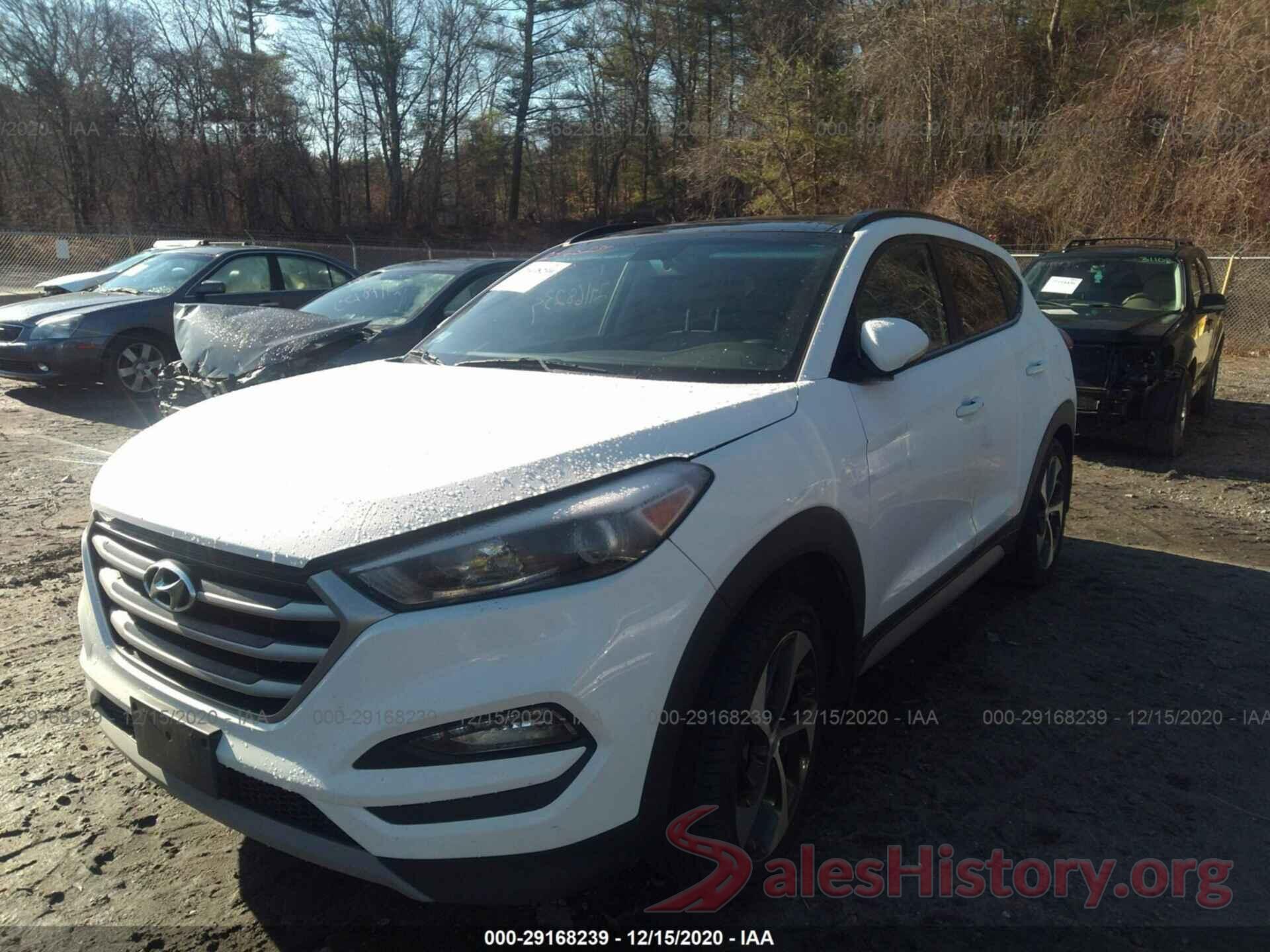 KM8J3CA23HU568336 2017 HYUNDAI TUCSON