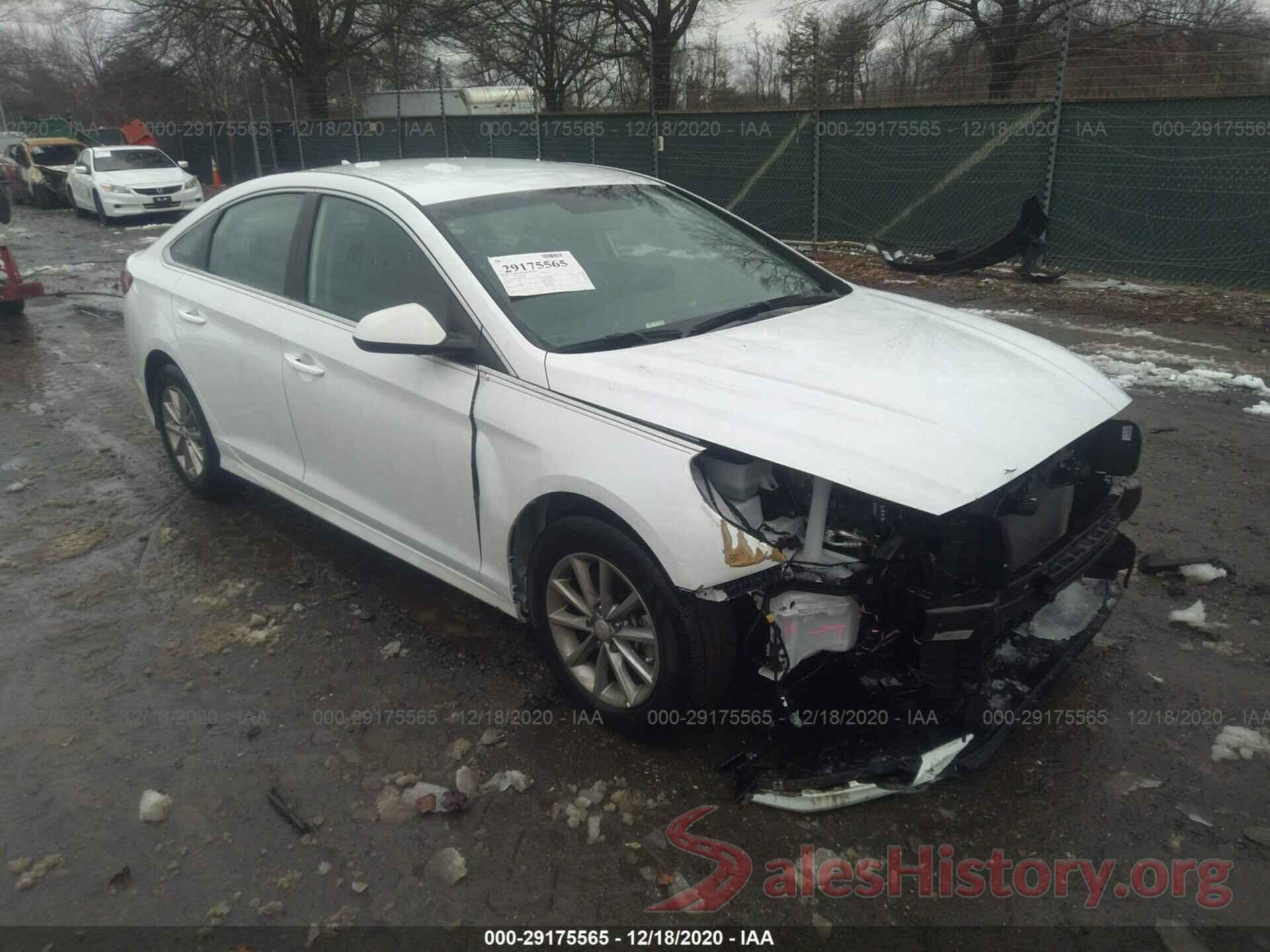 5NPE24AF8KH764985 2019 HYUNDAI SONATA