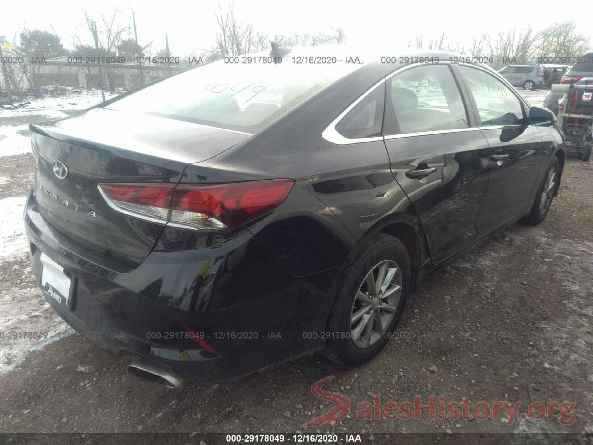 5NPE24AF1KH743086 2019 HYUNDAI SONATA