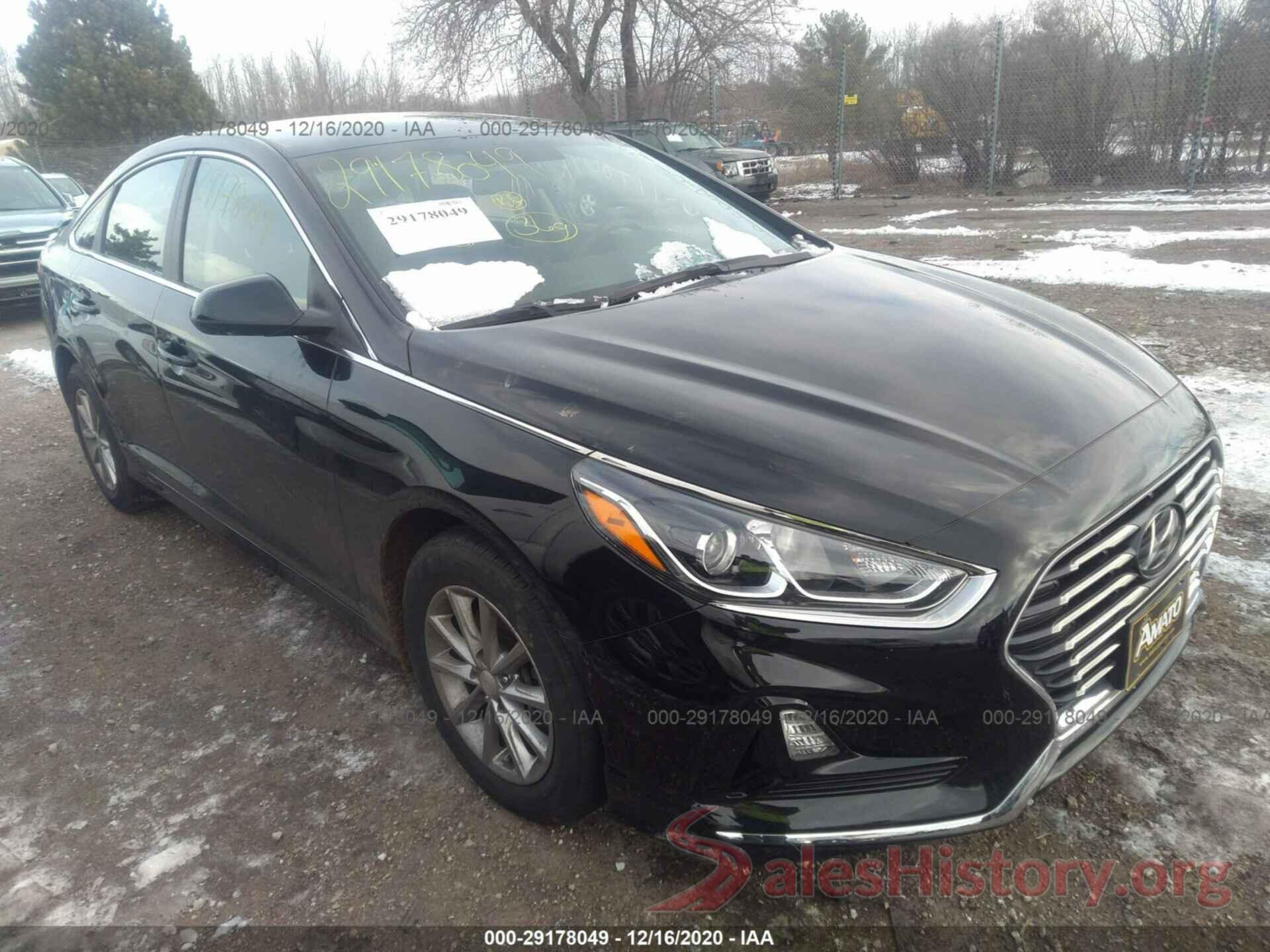 5NPE24AF1KH743086 2019 HYUNDAI SONATA