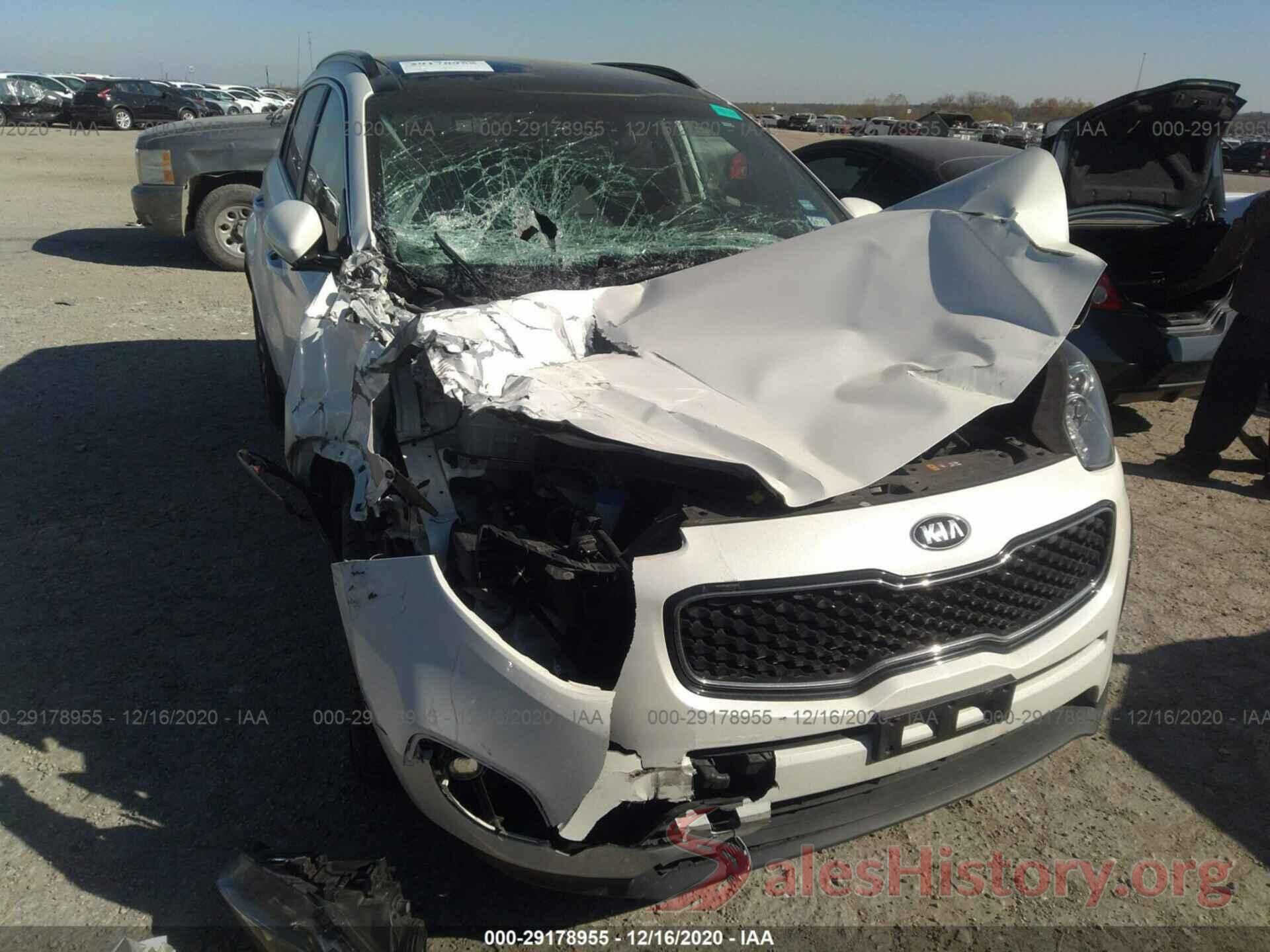 KNDPN3AC9K7590204 2019 KIA SPORTAGE