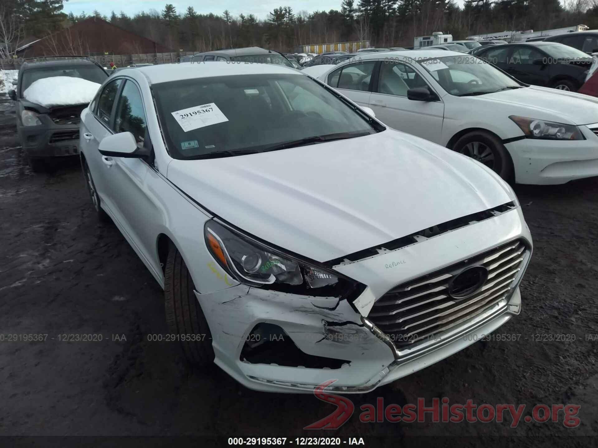 5NPE24AF1KH759031 2019 HYUNDAI SONATA