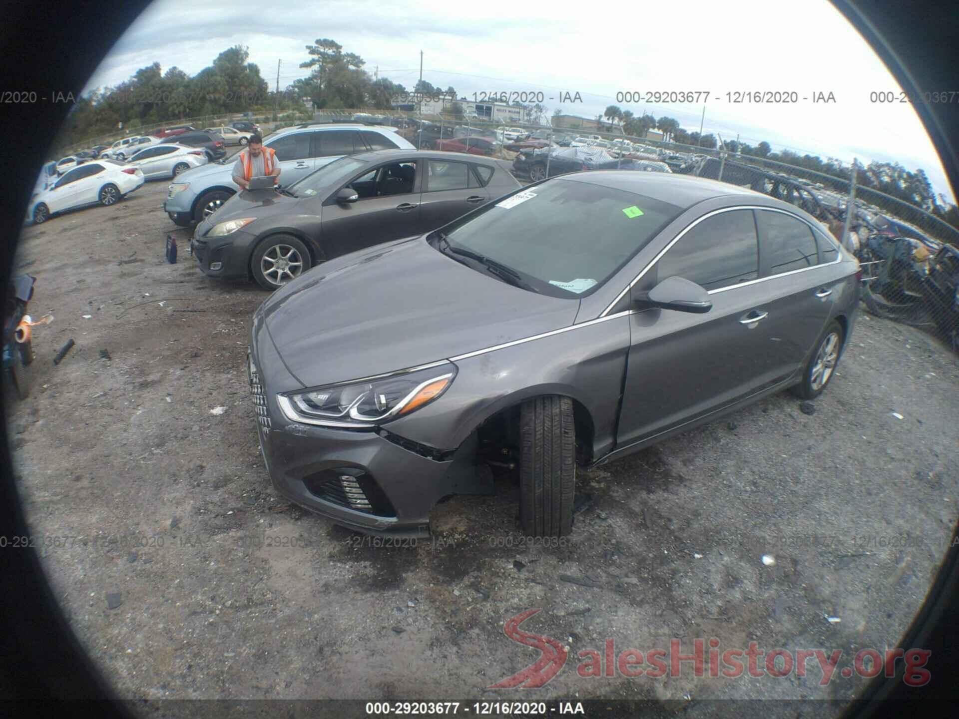 5NPE34AF8KH739050 2019 HYUNDAI SONATA