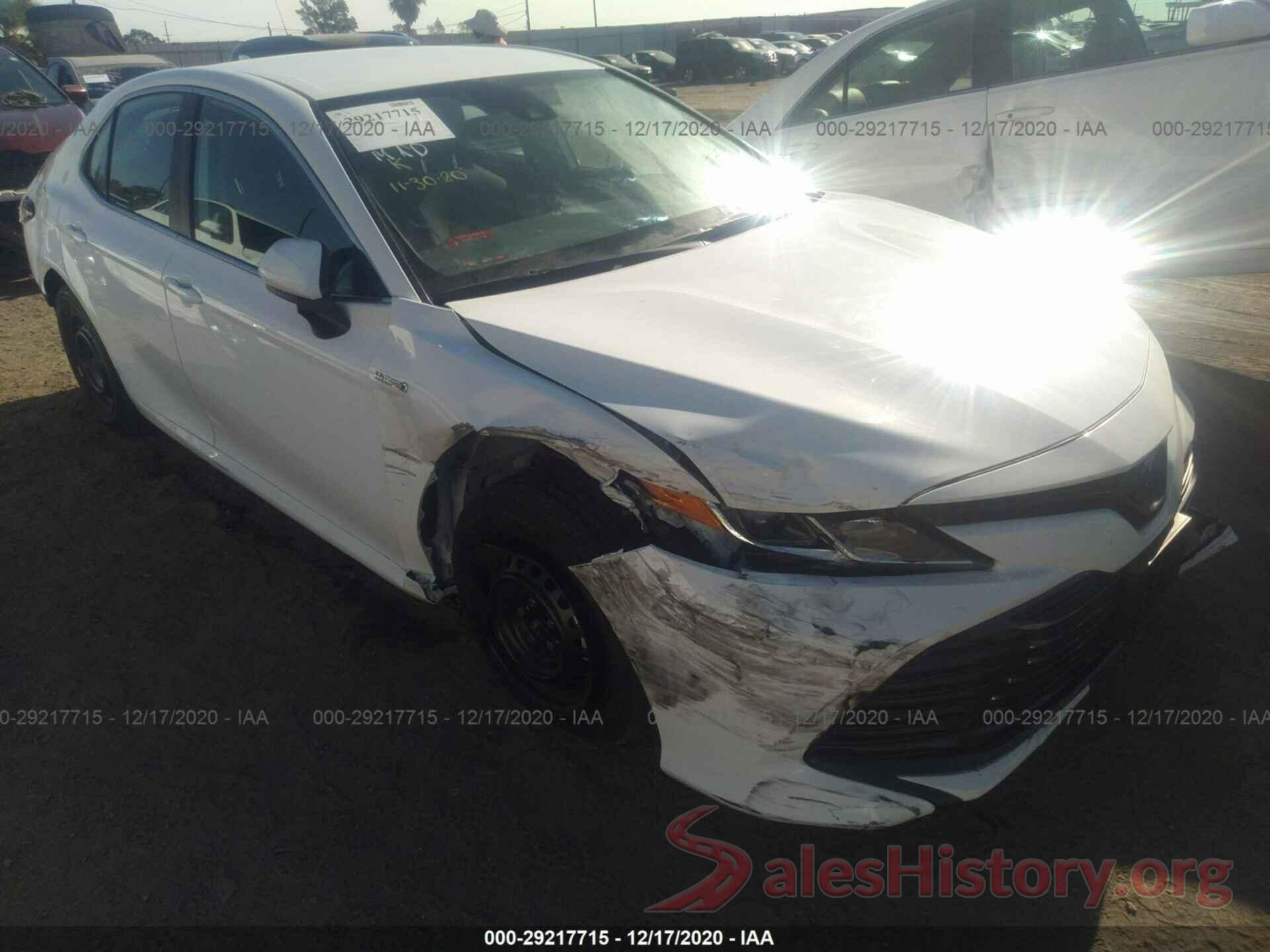 4T1B31HK5KU005519 2019 TOYOTA CAMRY