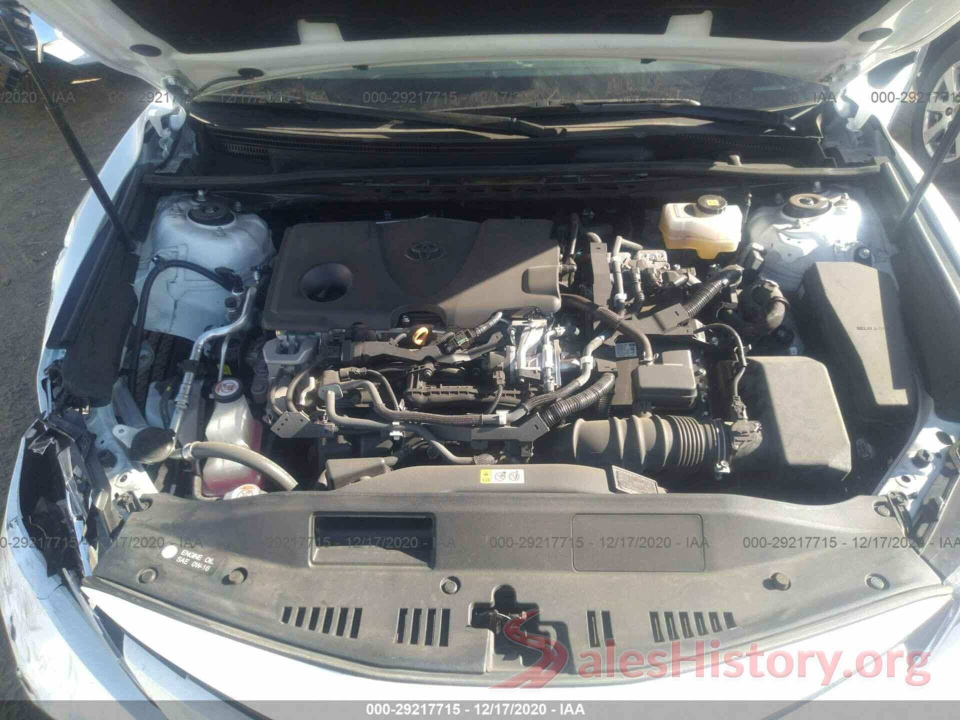 4T1B31HK5KU005519 2019 TOYOTA CAMRY