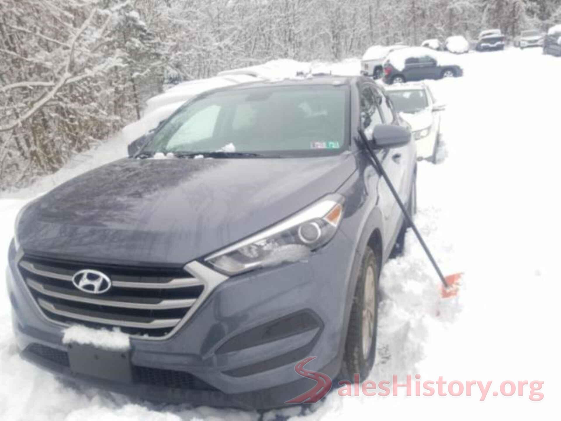 KM8J23A46HU314396 2017 HYUNDAI TUCSON