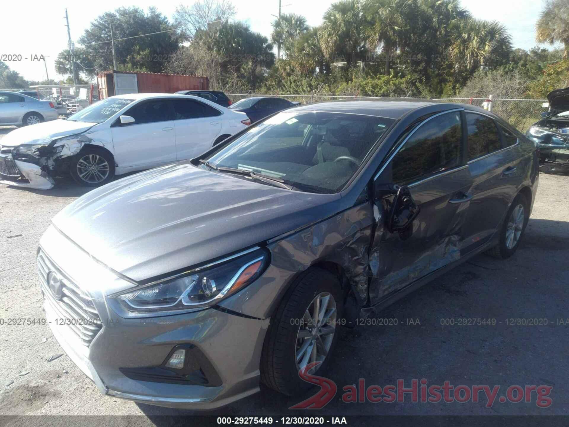 5NPE24AF5KH788807 2019 HYUNDAI SONATA