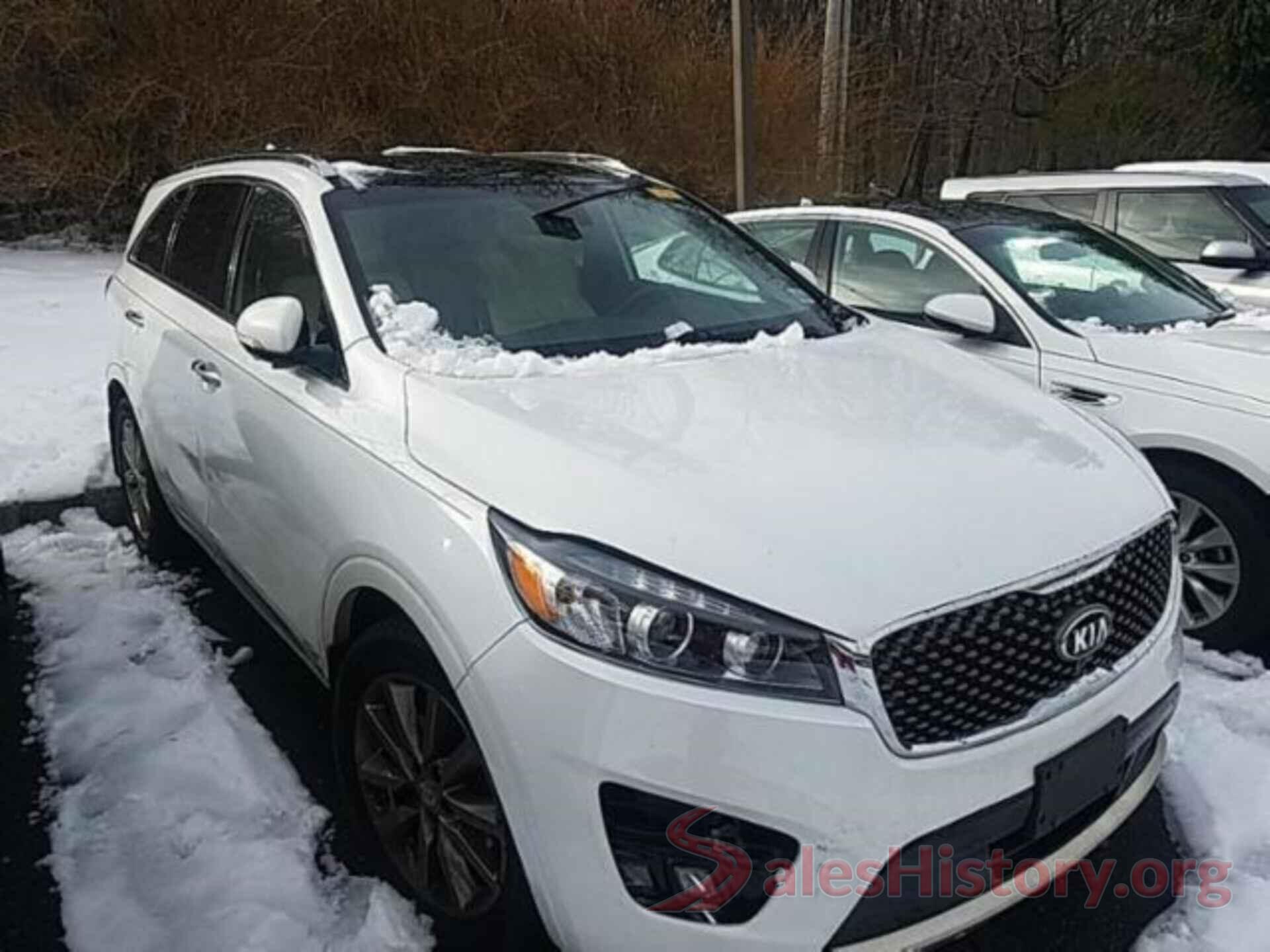 5XYPKDA53HG261509 2017 KIA SORENTO