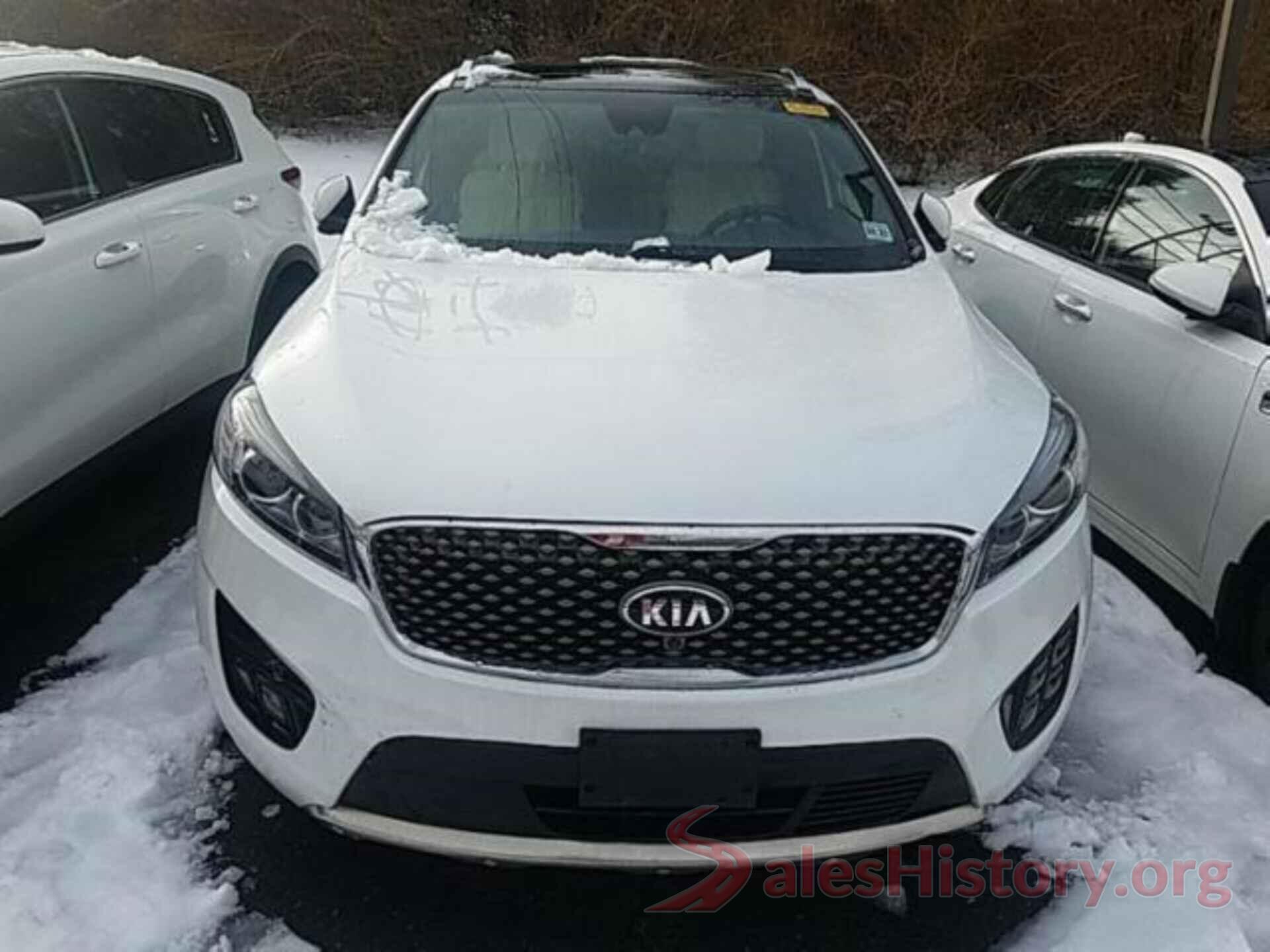 5XYPKDA53HG261509 2017 KIA SORENTO