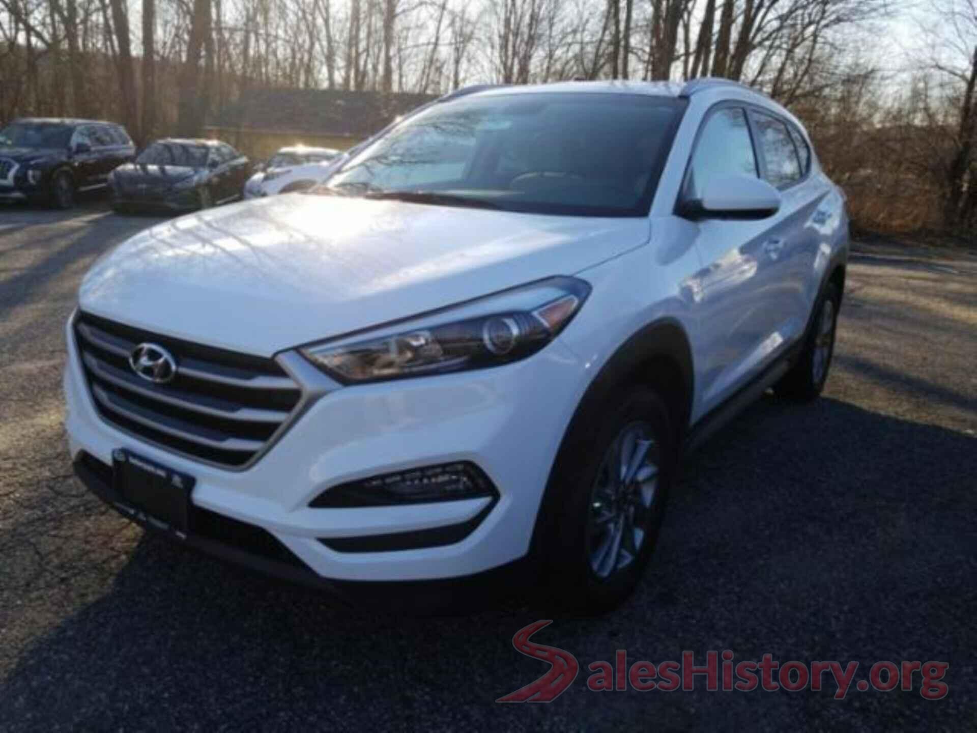 KM8J3CA42HU545499 2017 HYUNDAI TUCSON